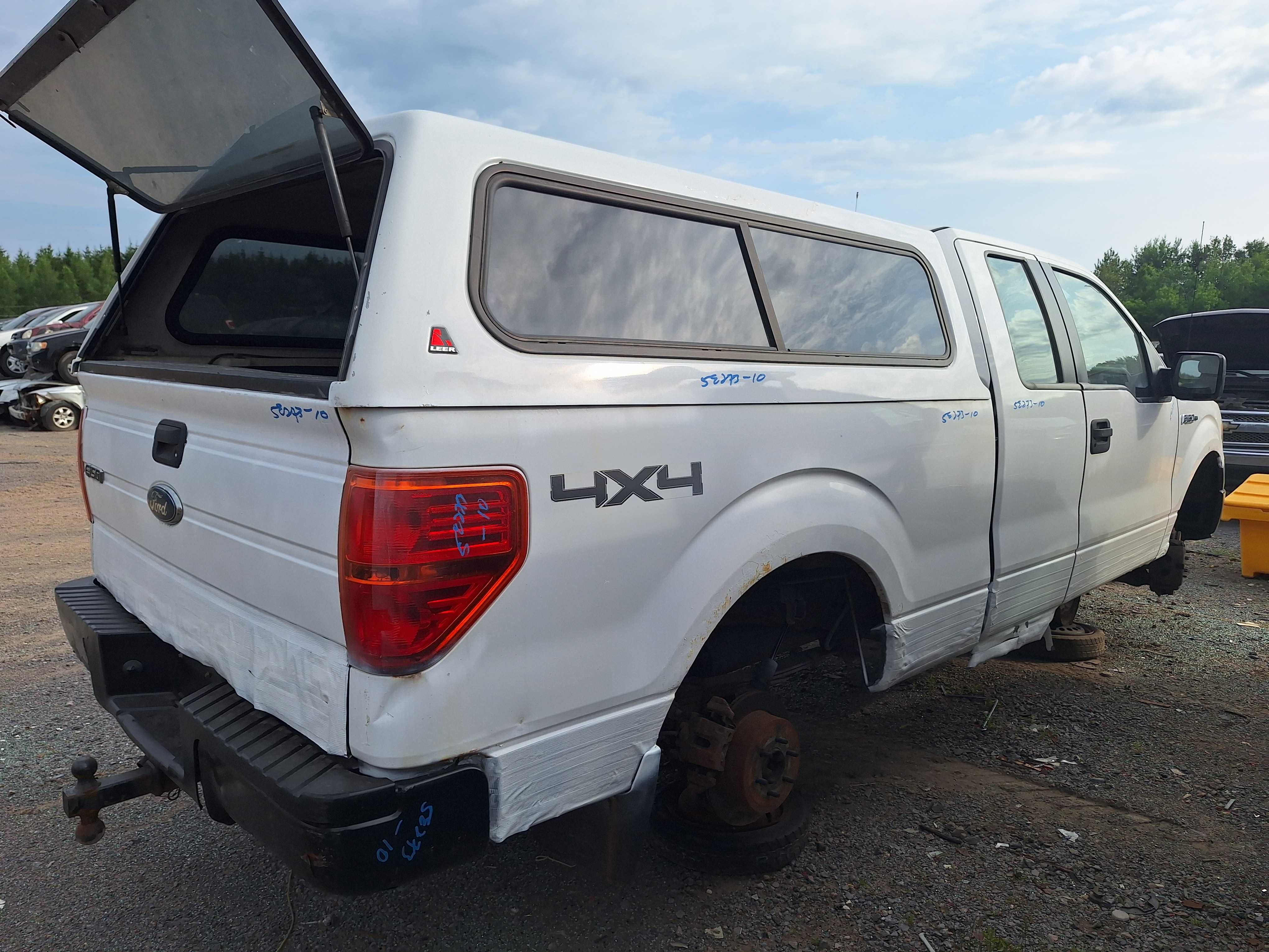 FORD F-150 2010