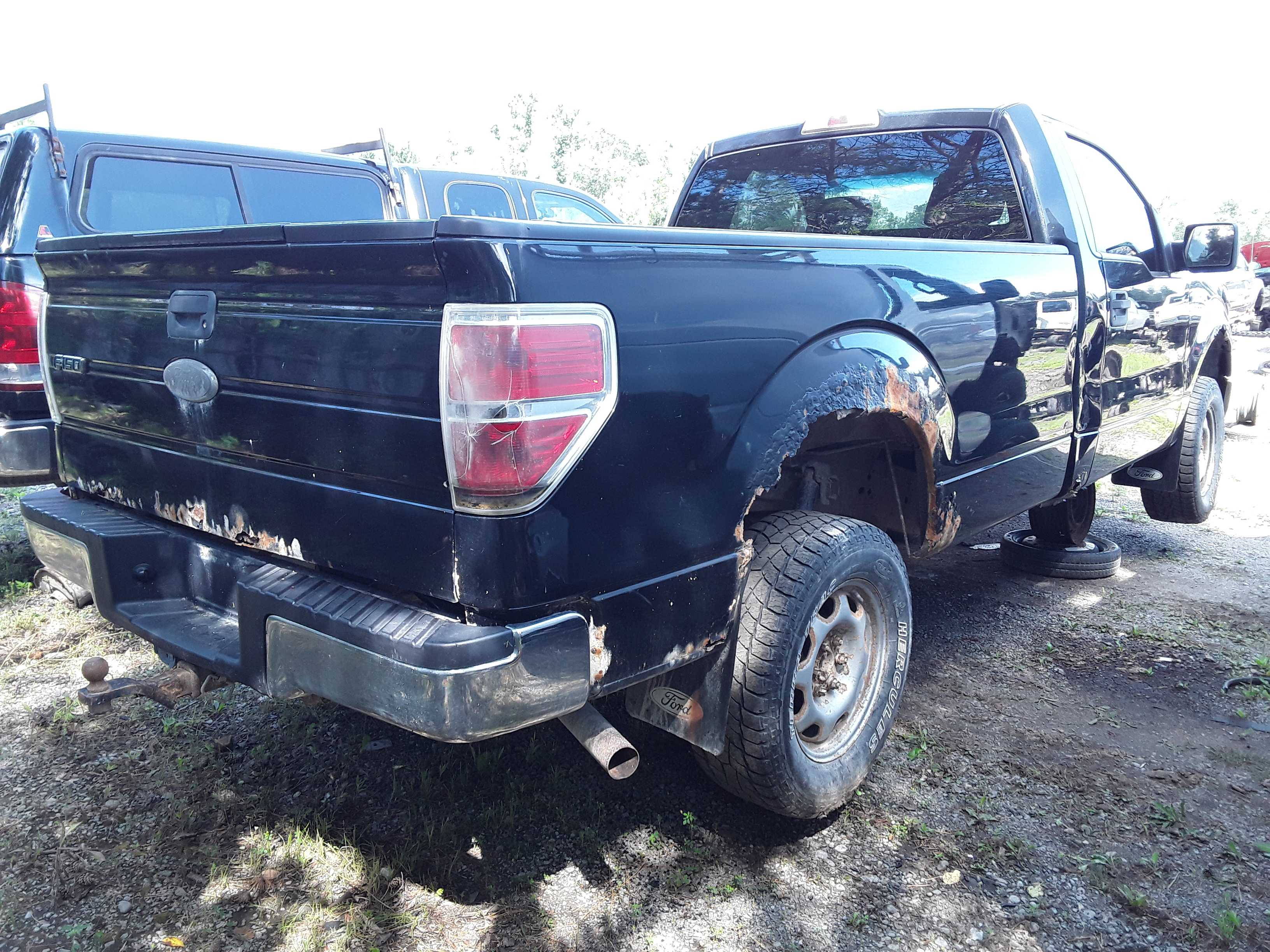 FORD F-150 2010