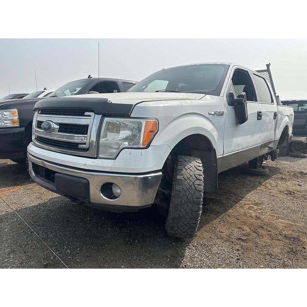 FORD F-150 2014
