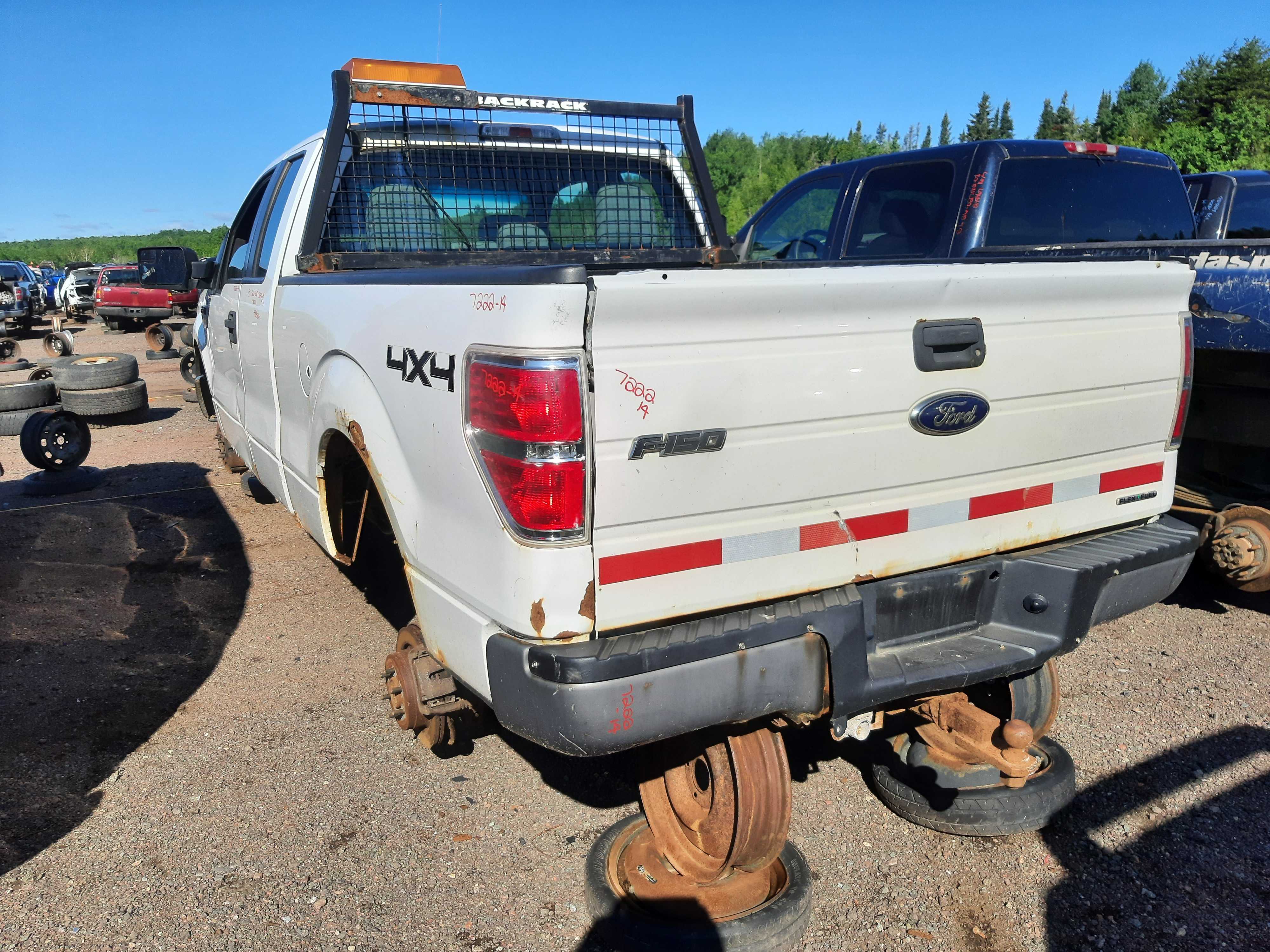 FORD F-150 2014