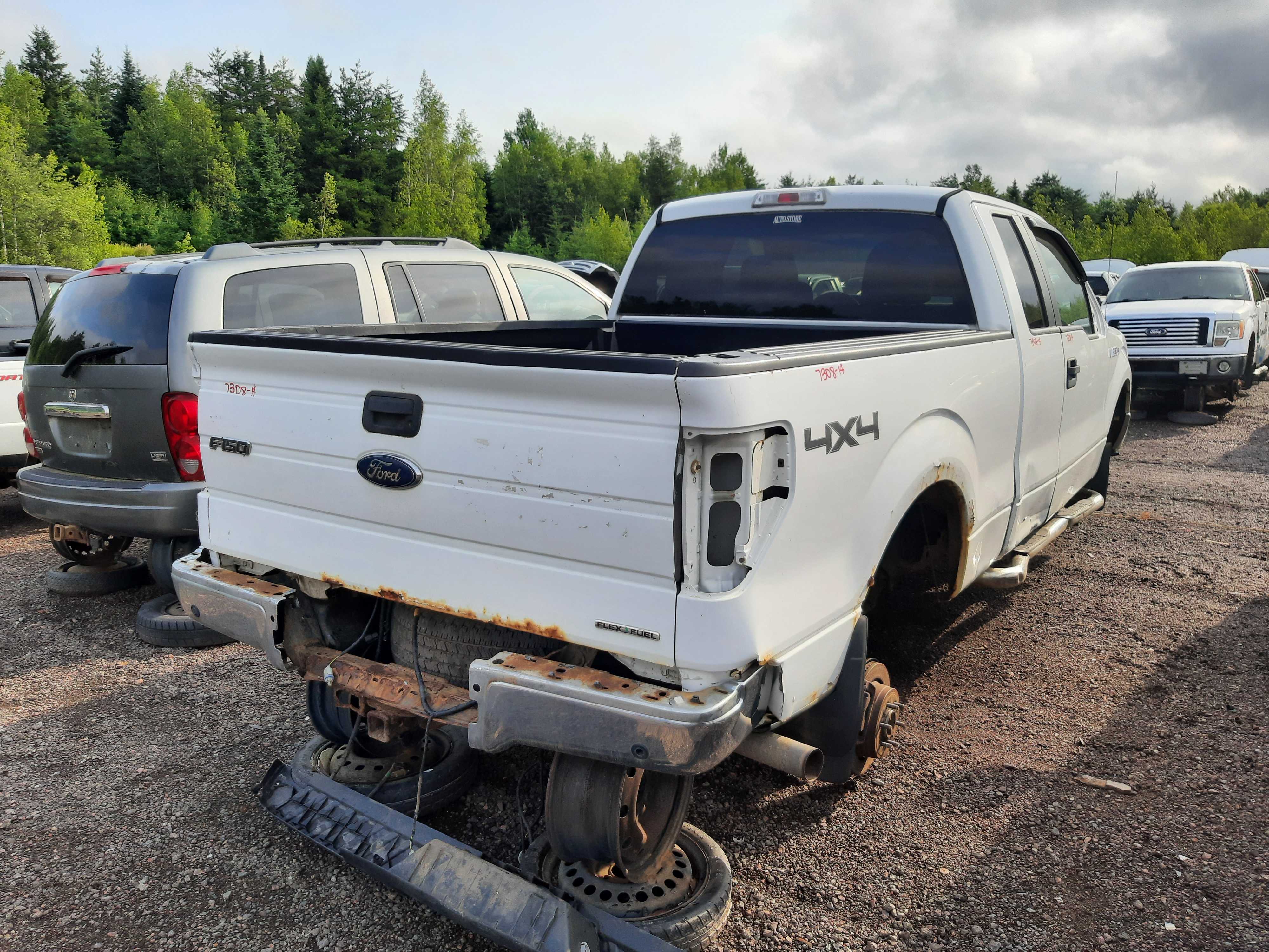 FORD F-150 2014