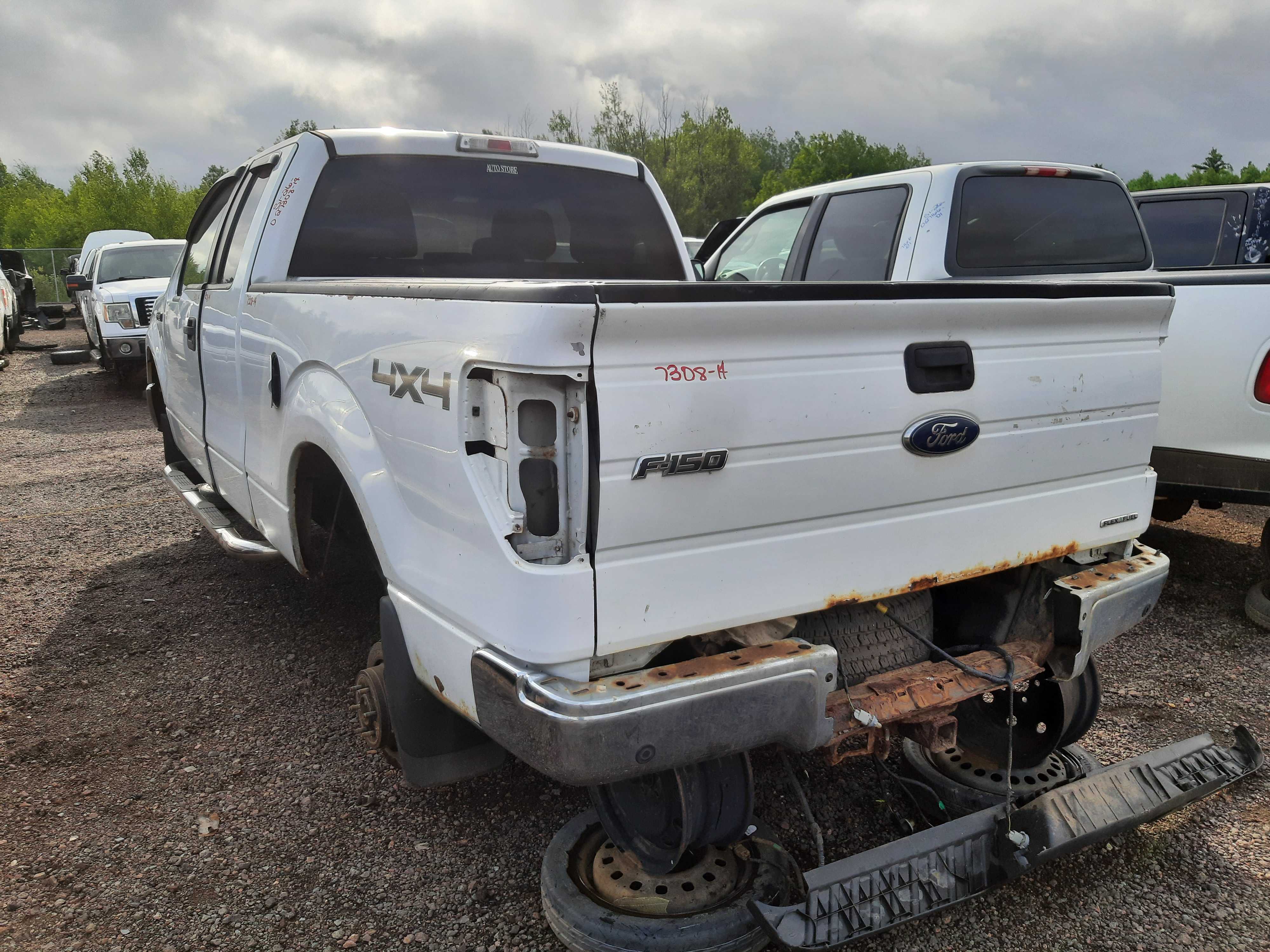 FORD F-150 2014