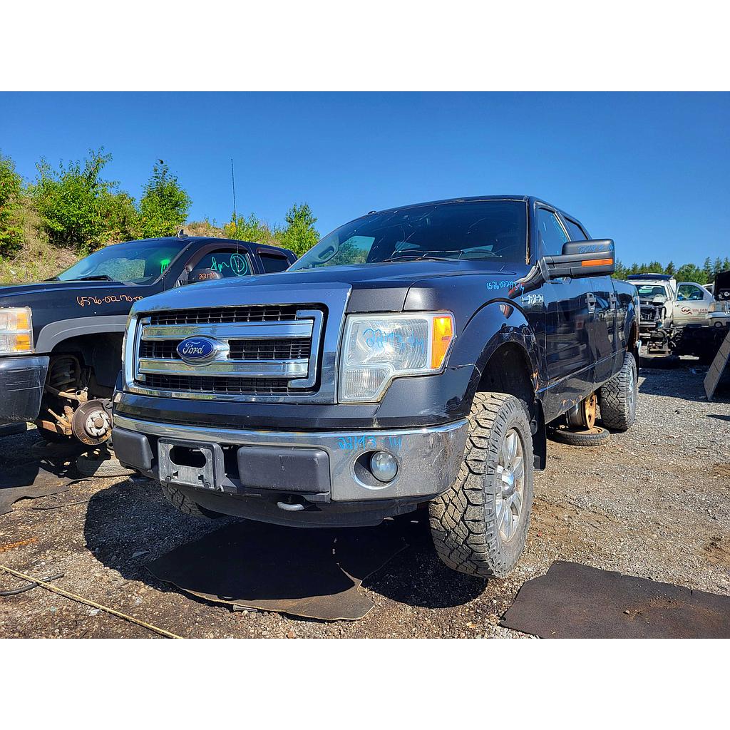 FORD F-150 2014
