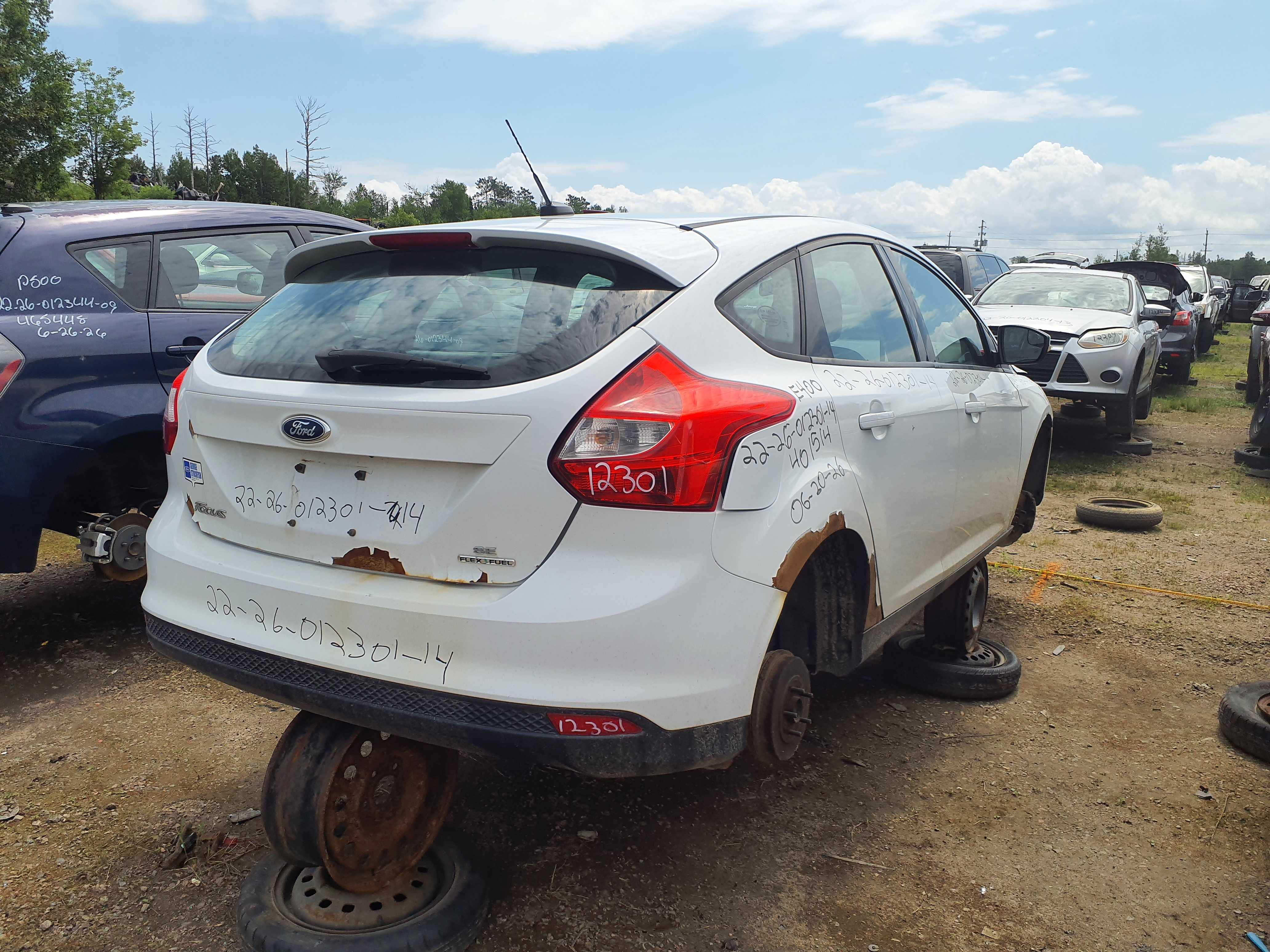 FORD FOCUS 2014