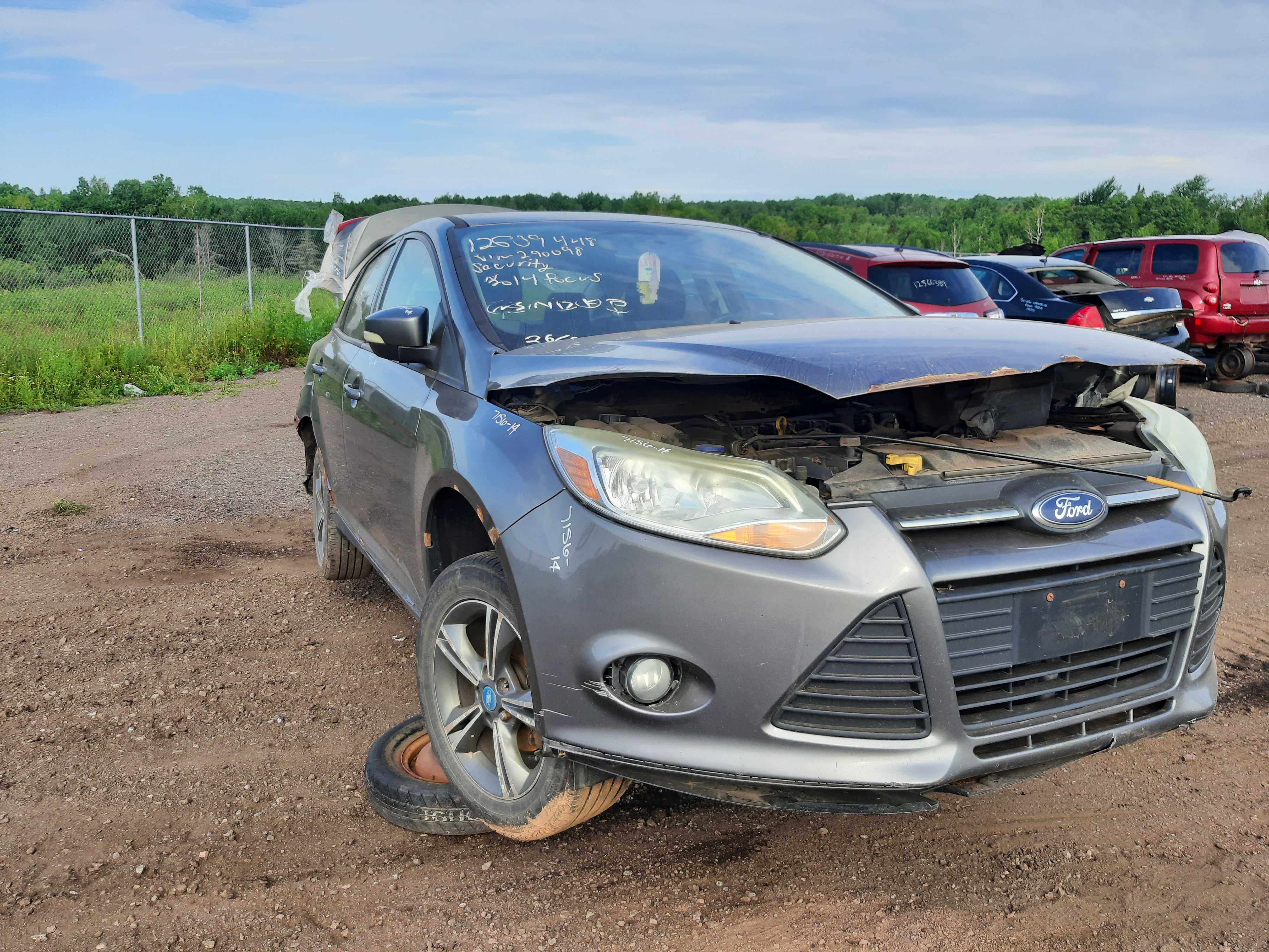 FORD FOCUS 2014