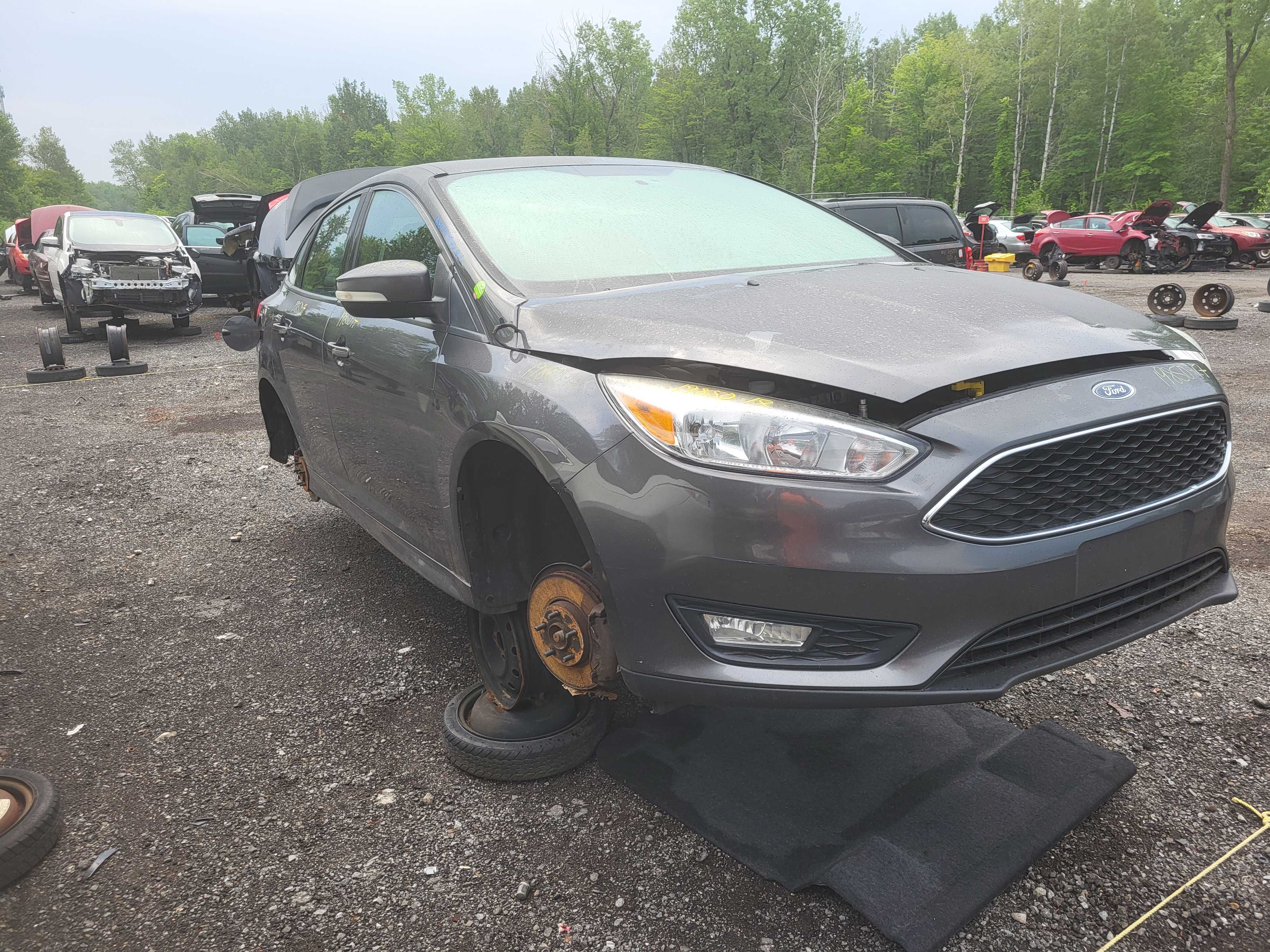 FORD FOCUS 2017