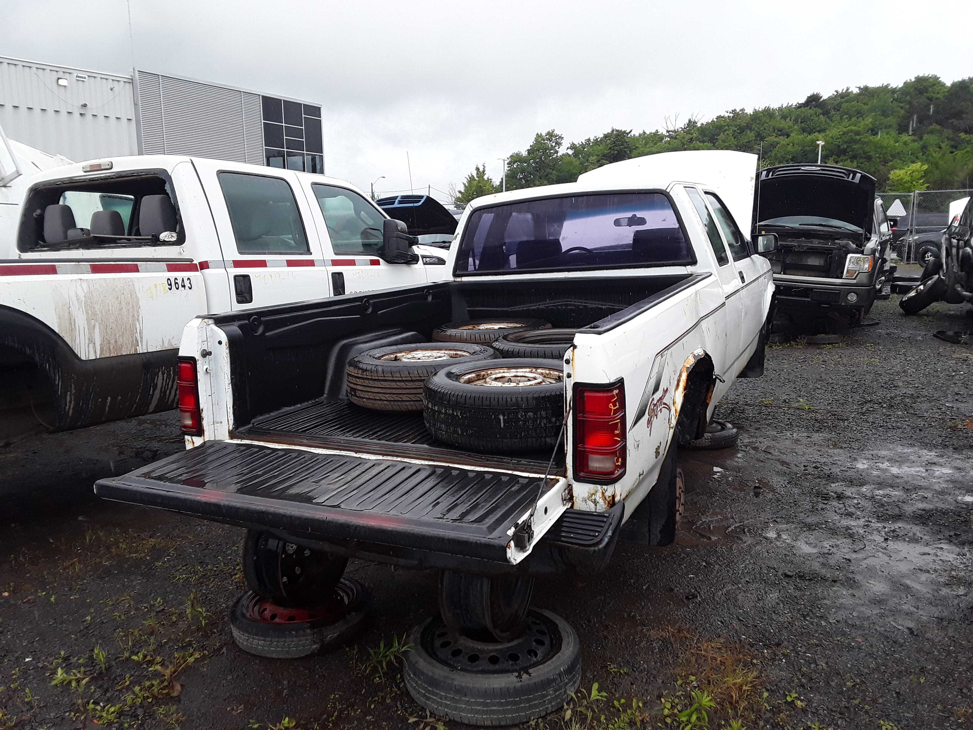 DODGE DAKOTA 1996