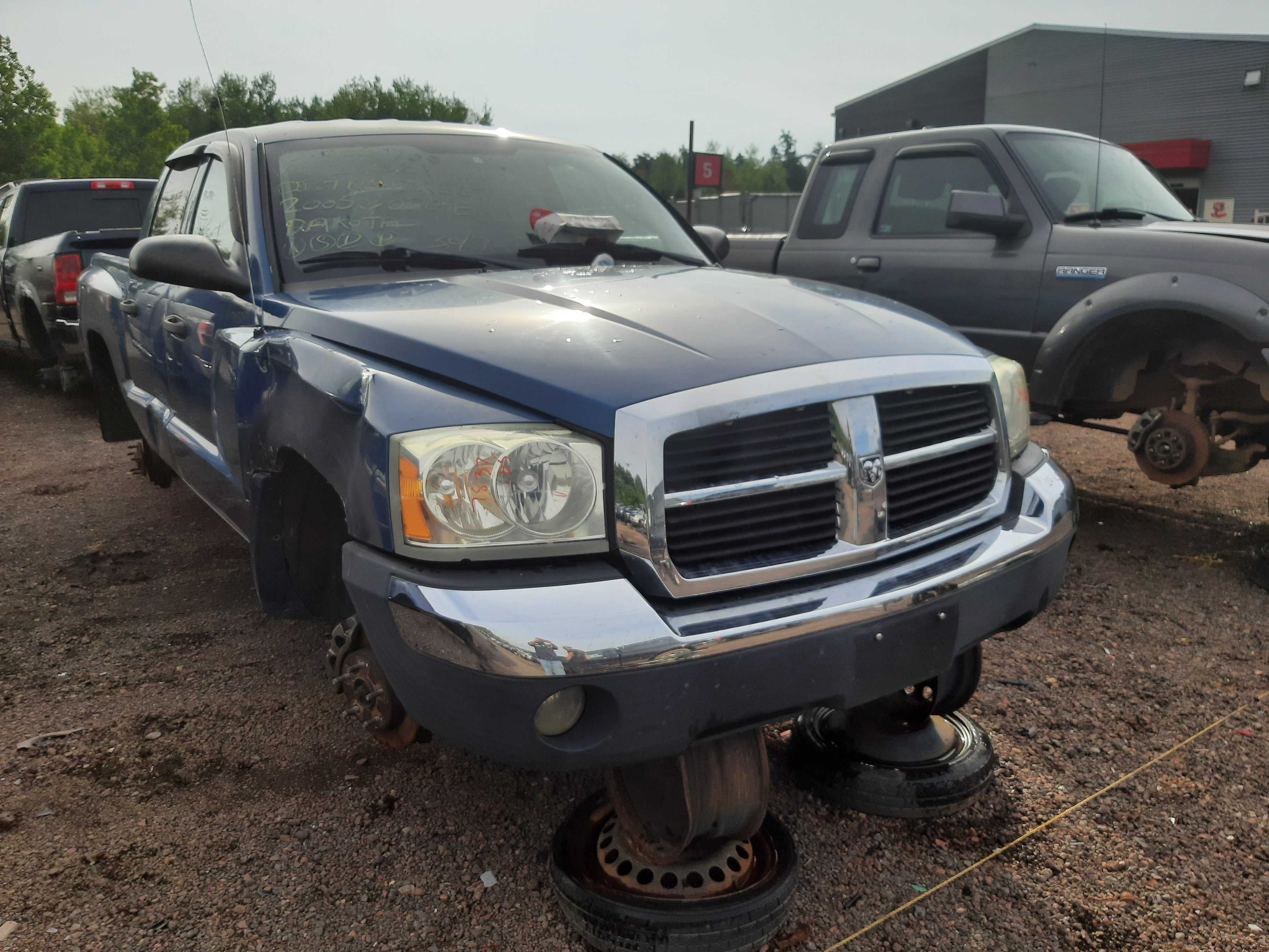 DODGE DAKOTA 2005