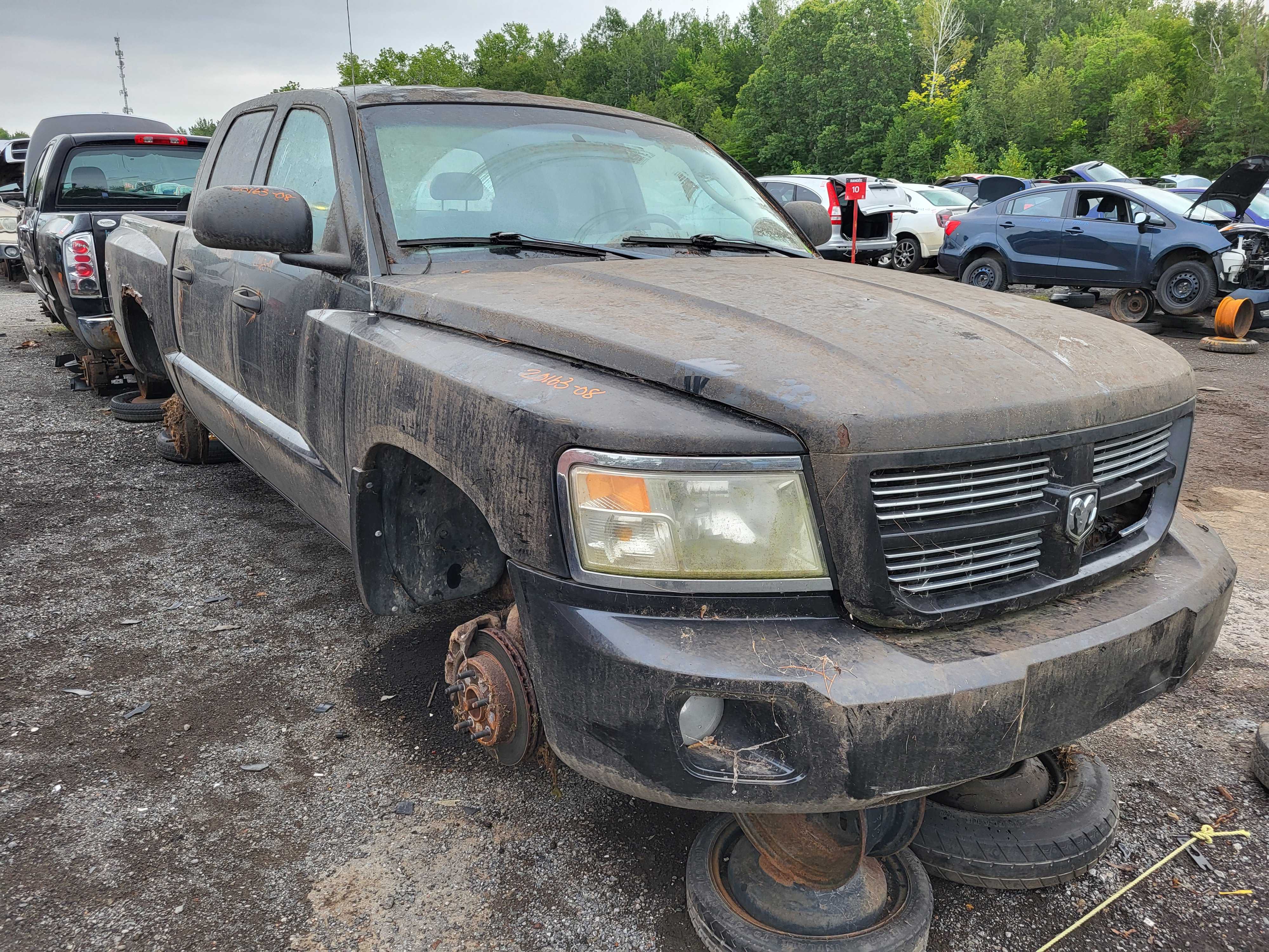 DODGE DAKOTA 2008