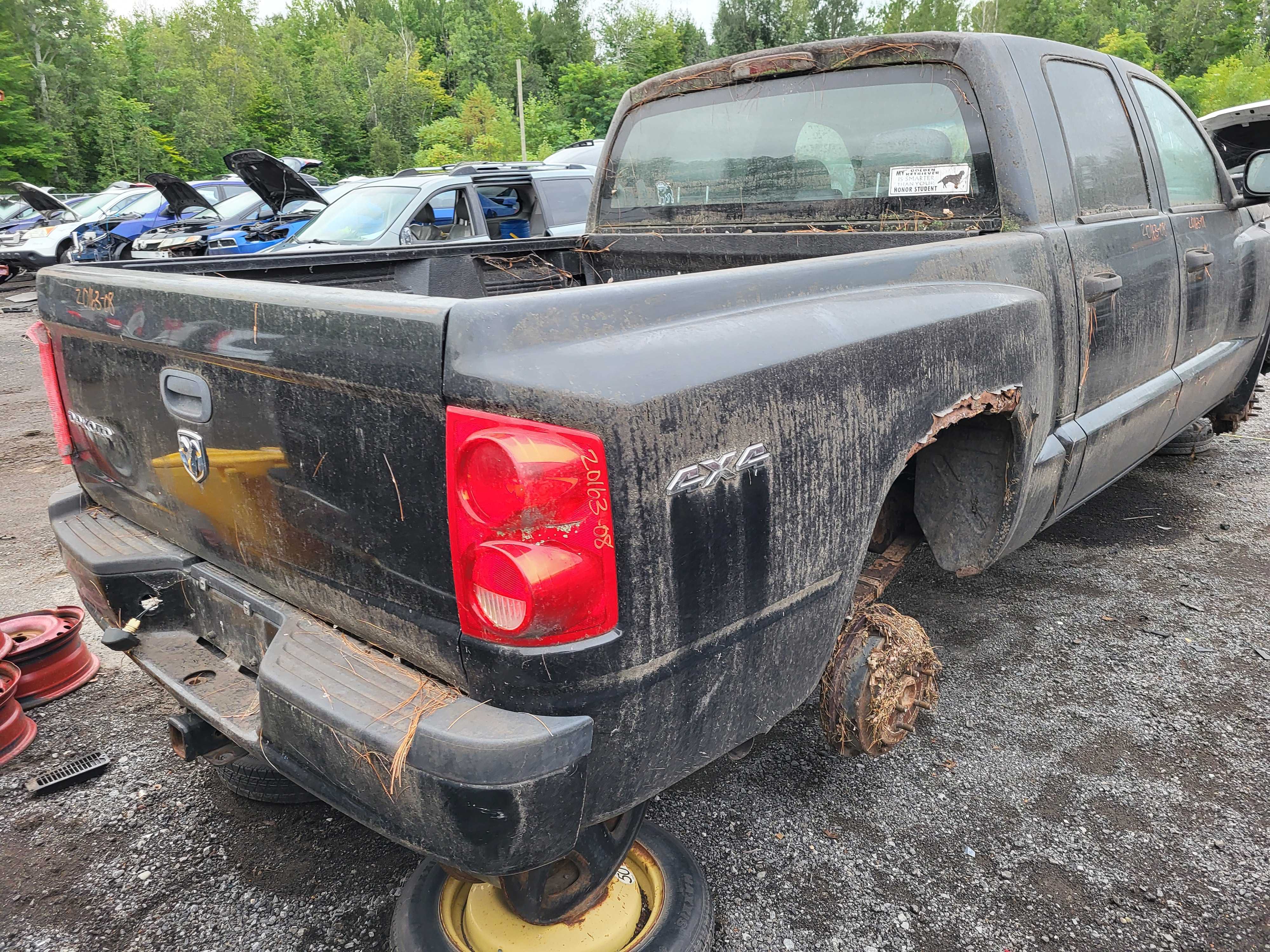 DODGE DAKOTA 2008