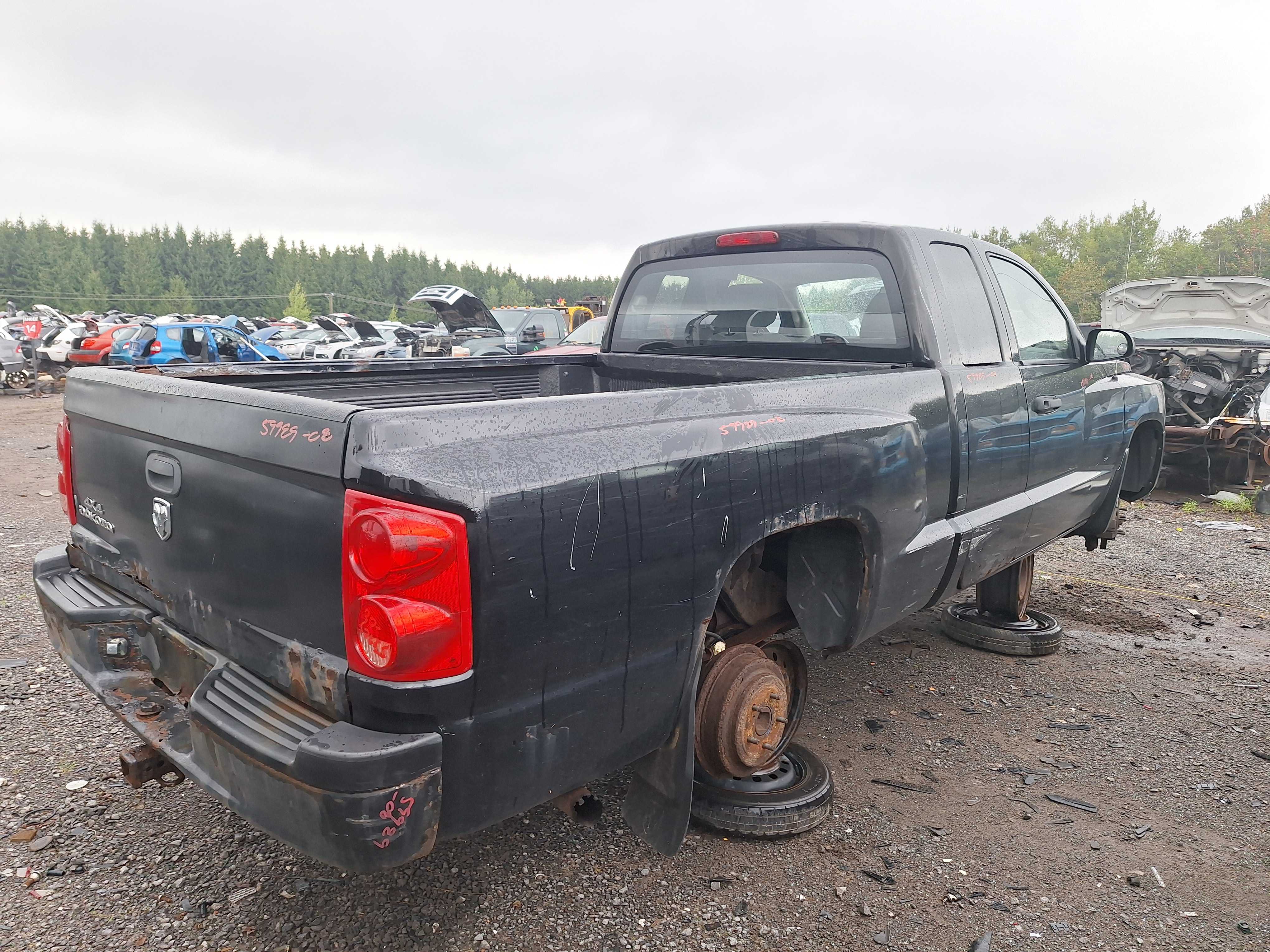 DODGE DAKOTA 2008