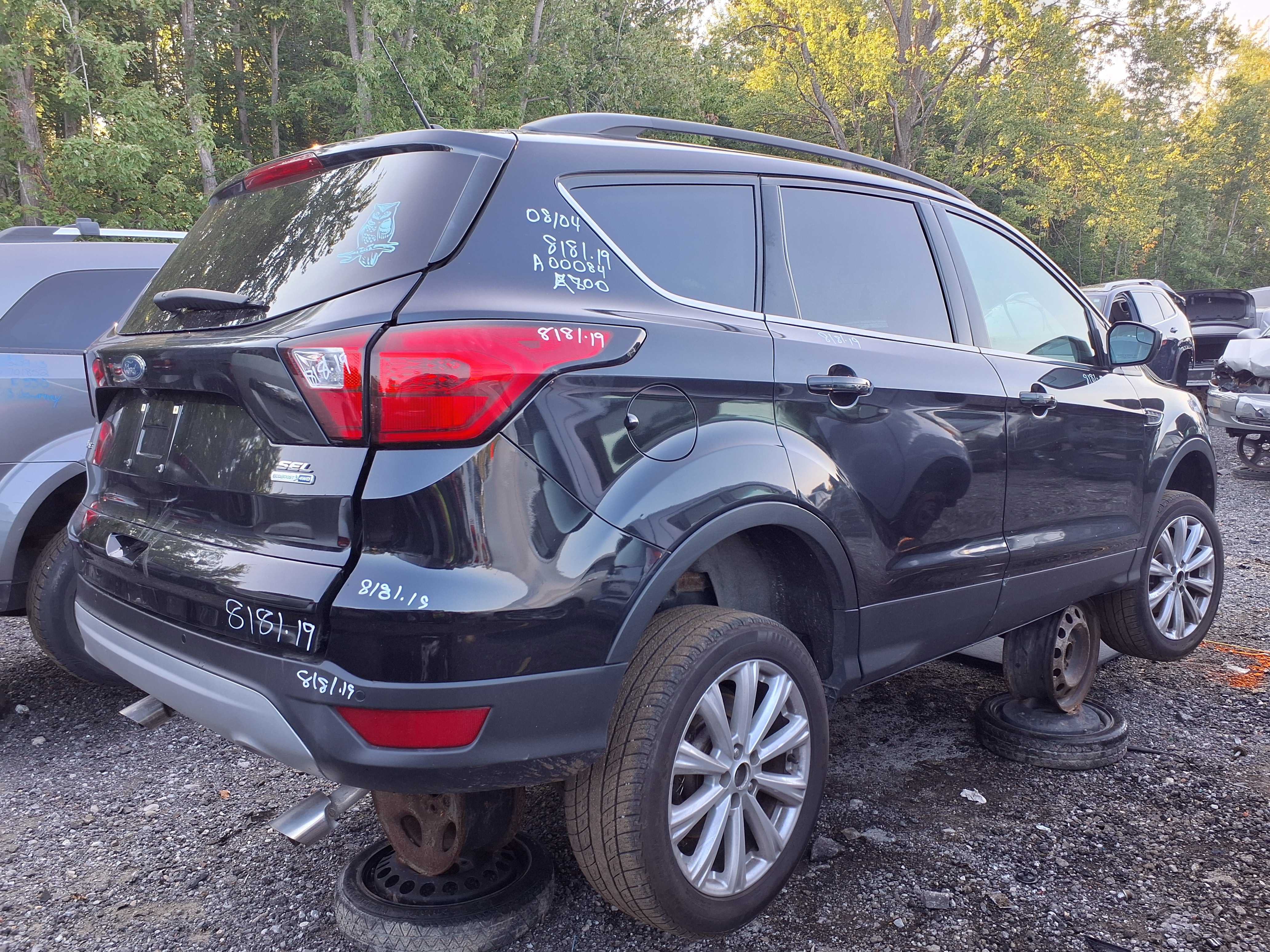 FORD ESCAPE 2019