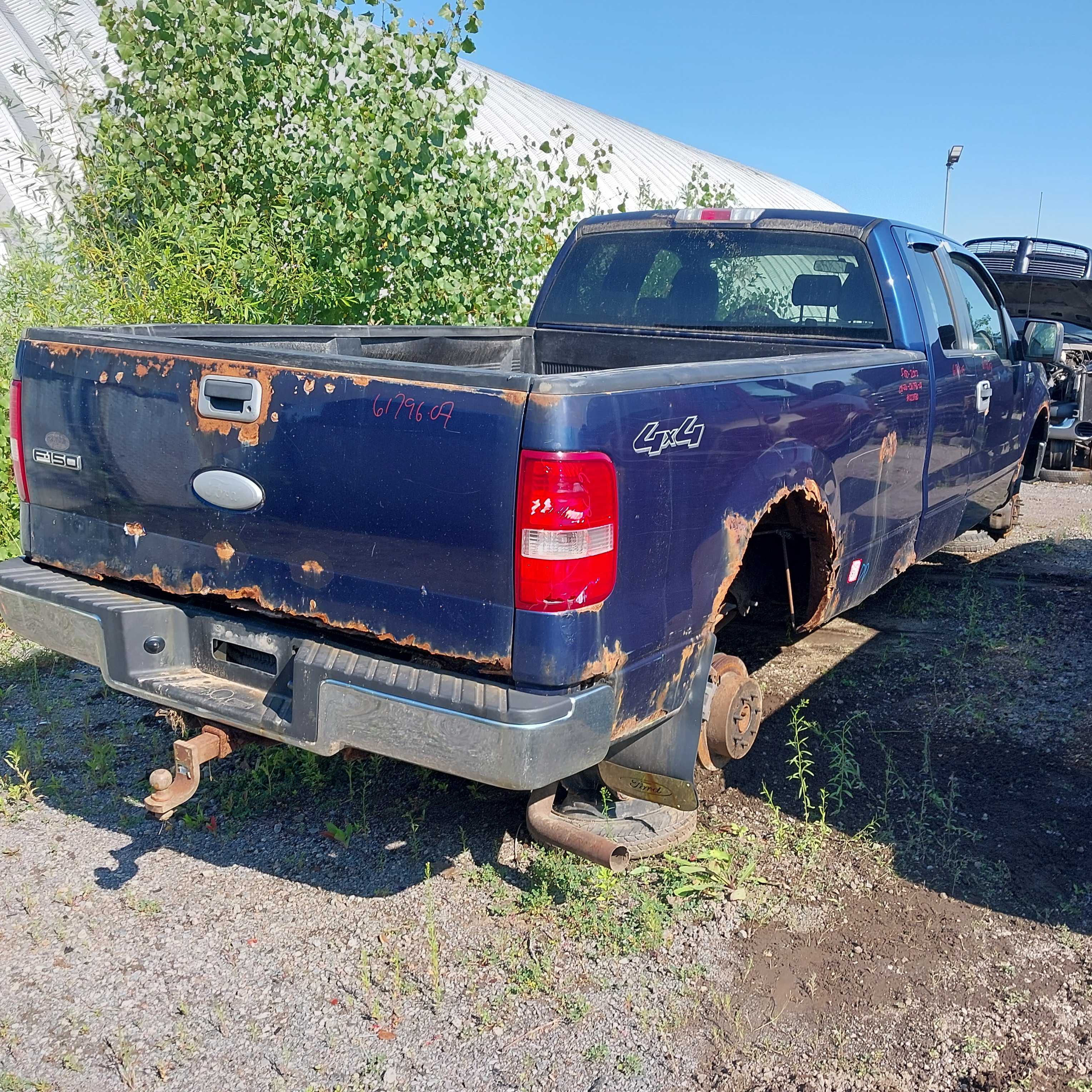 FORD F-150 2007