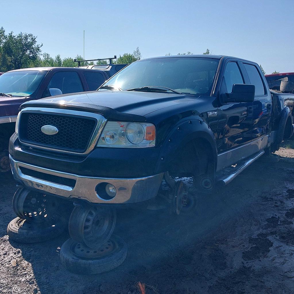 FORD F-150 2007