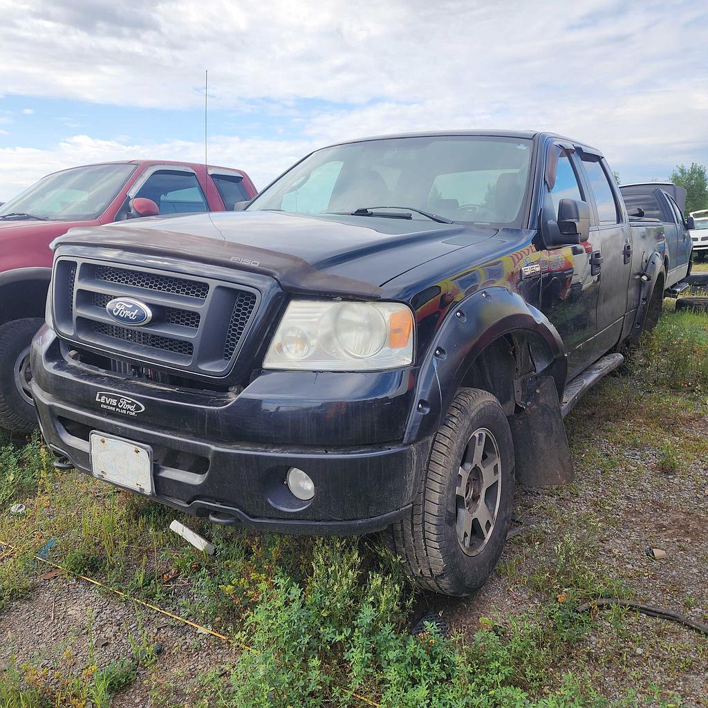FORD F-150 2007