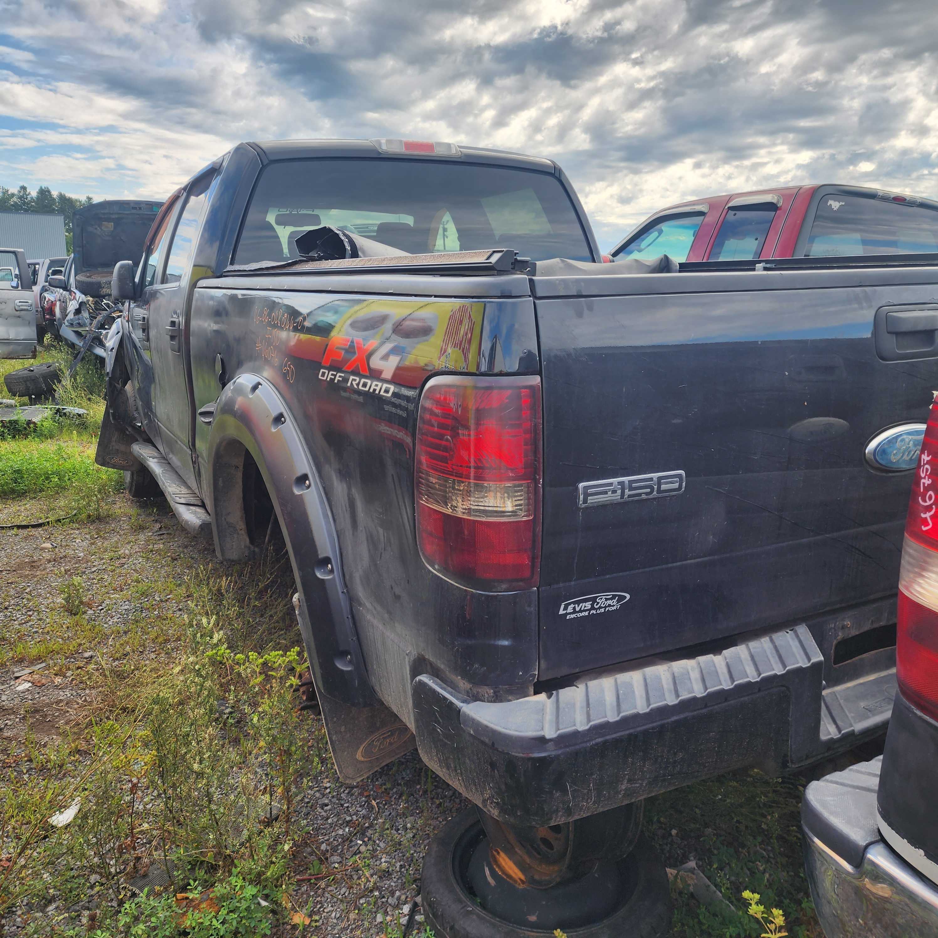 FORD F-150 2007