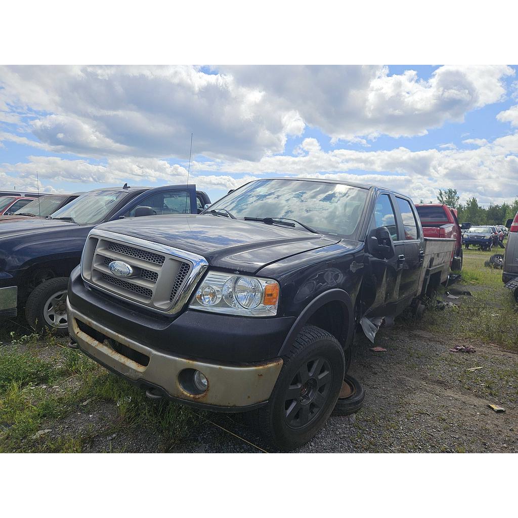 FORD F-150 2007