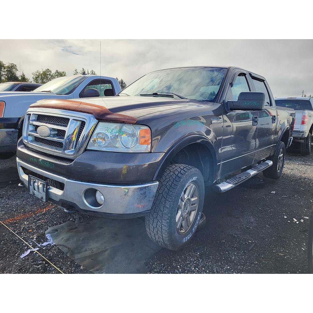 FORD F-150 2007