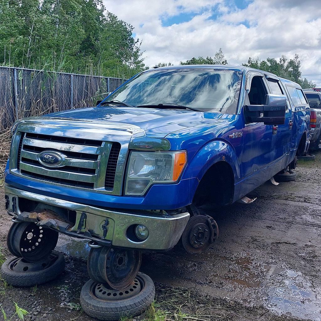 FORD F-150 2009