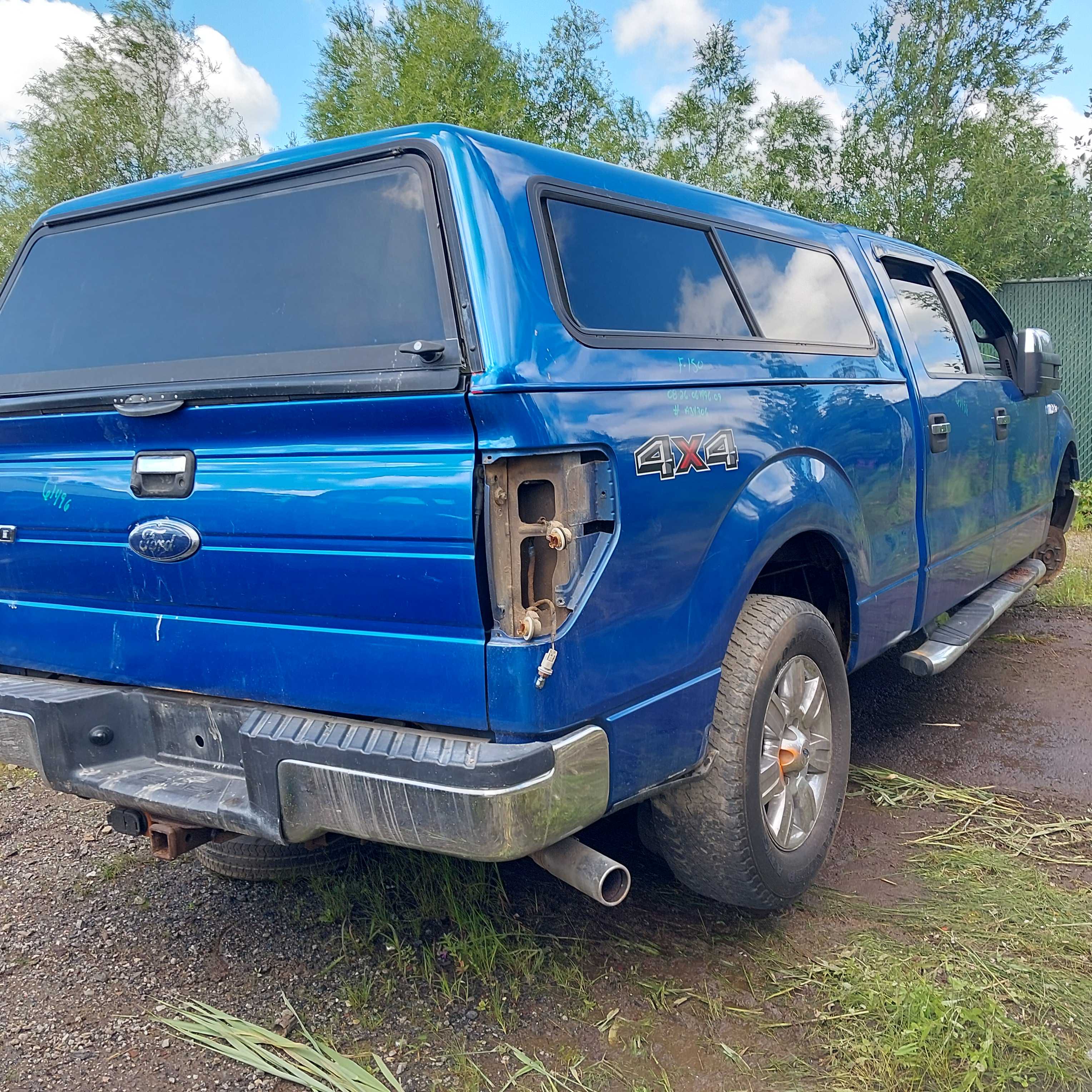 FORD F-150 2009