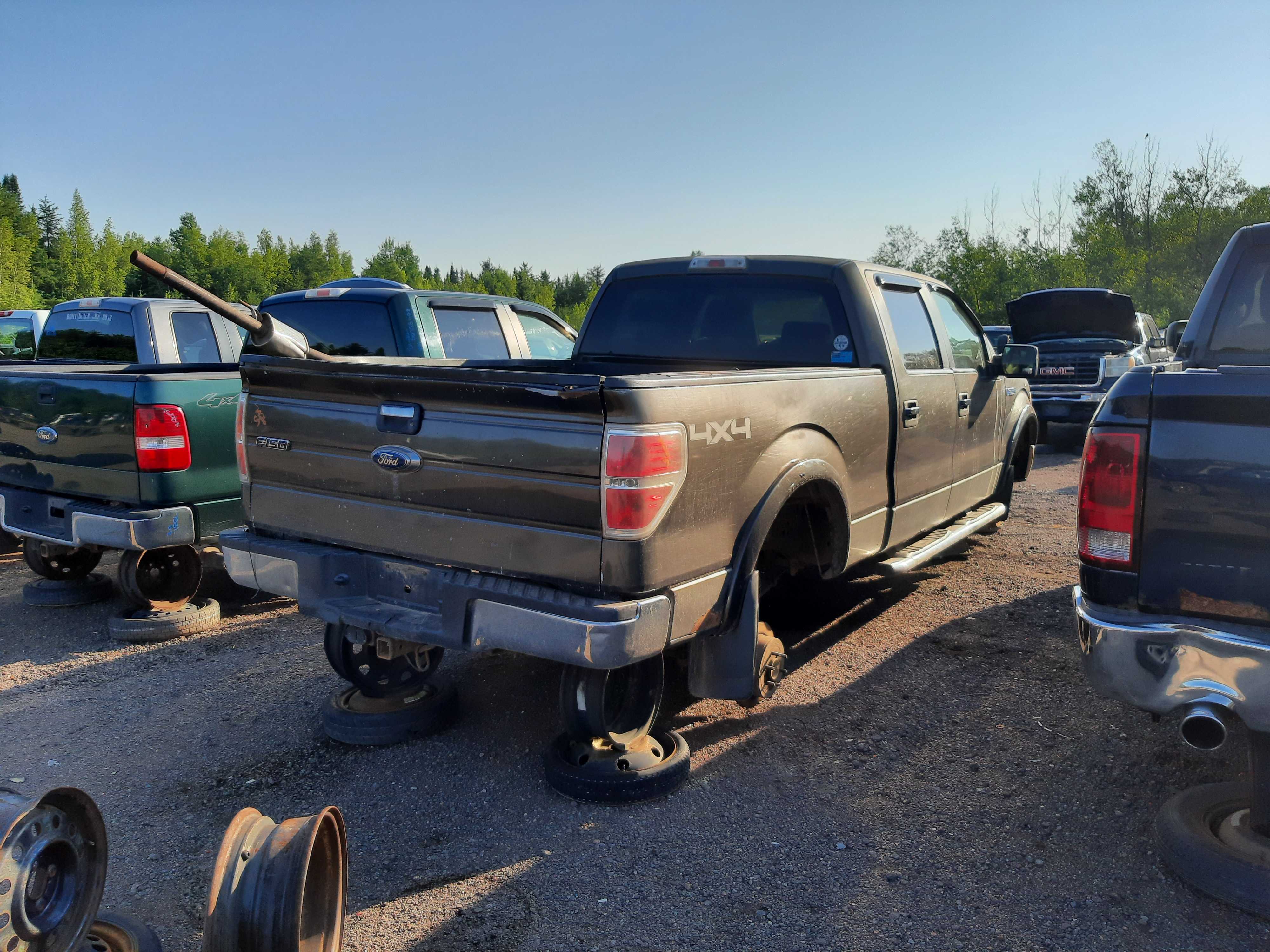 FORD F-150 2009
