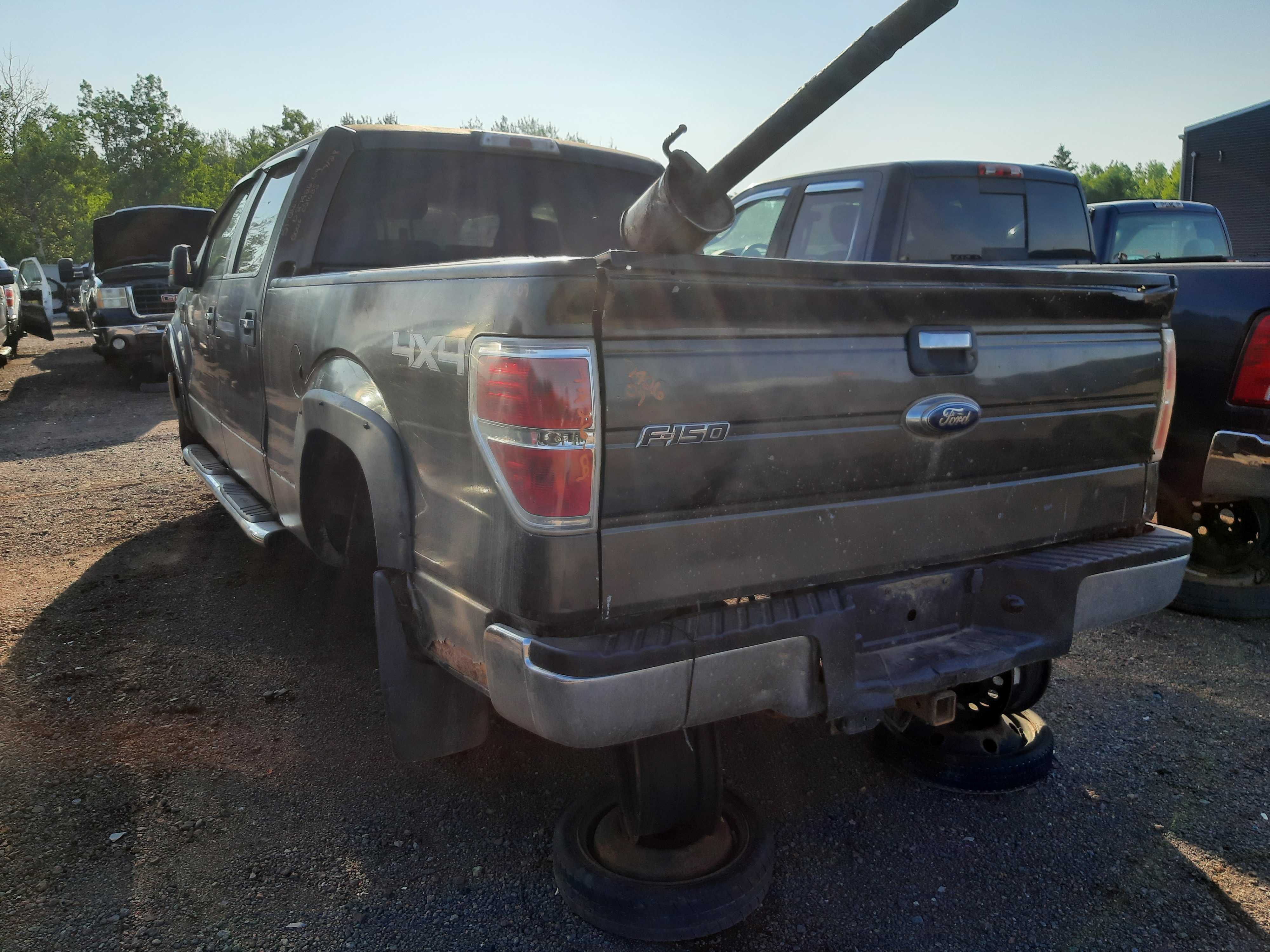 FORD F-150 2009