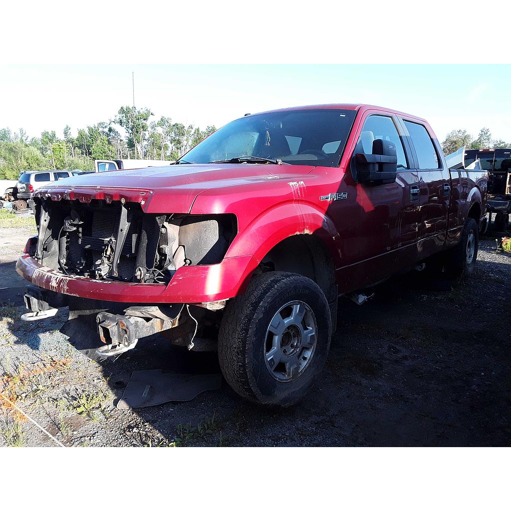 FORD F-150 2009
