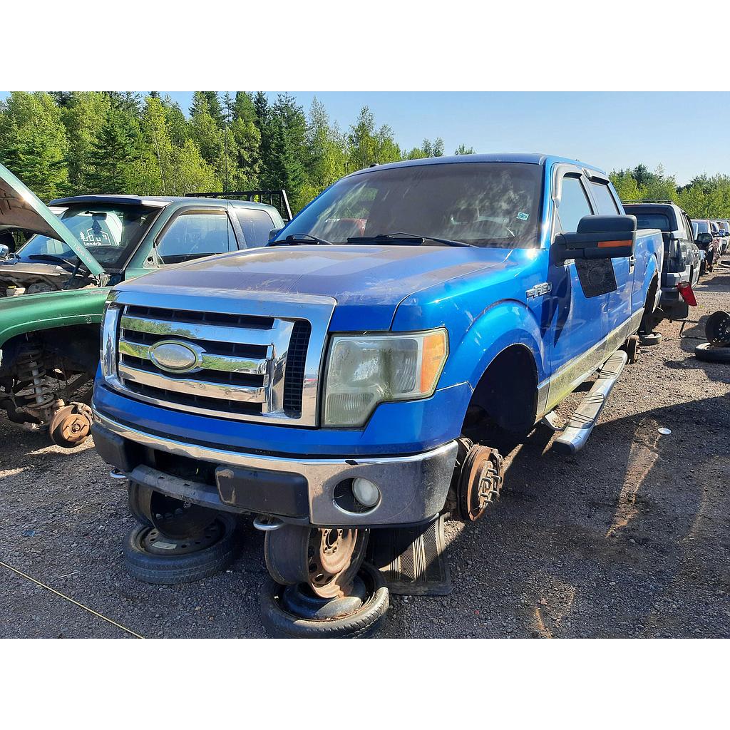 FORD F-150 2009