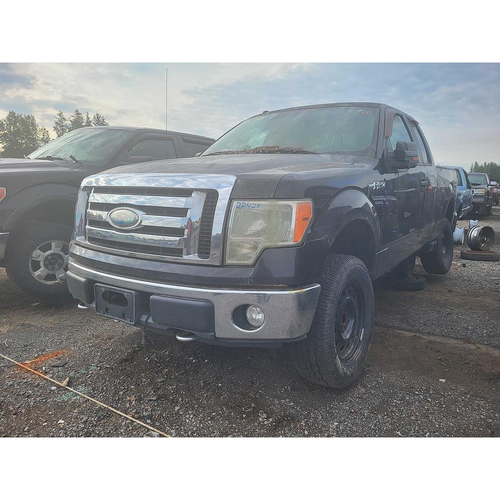 FORD F-150 2009