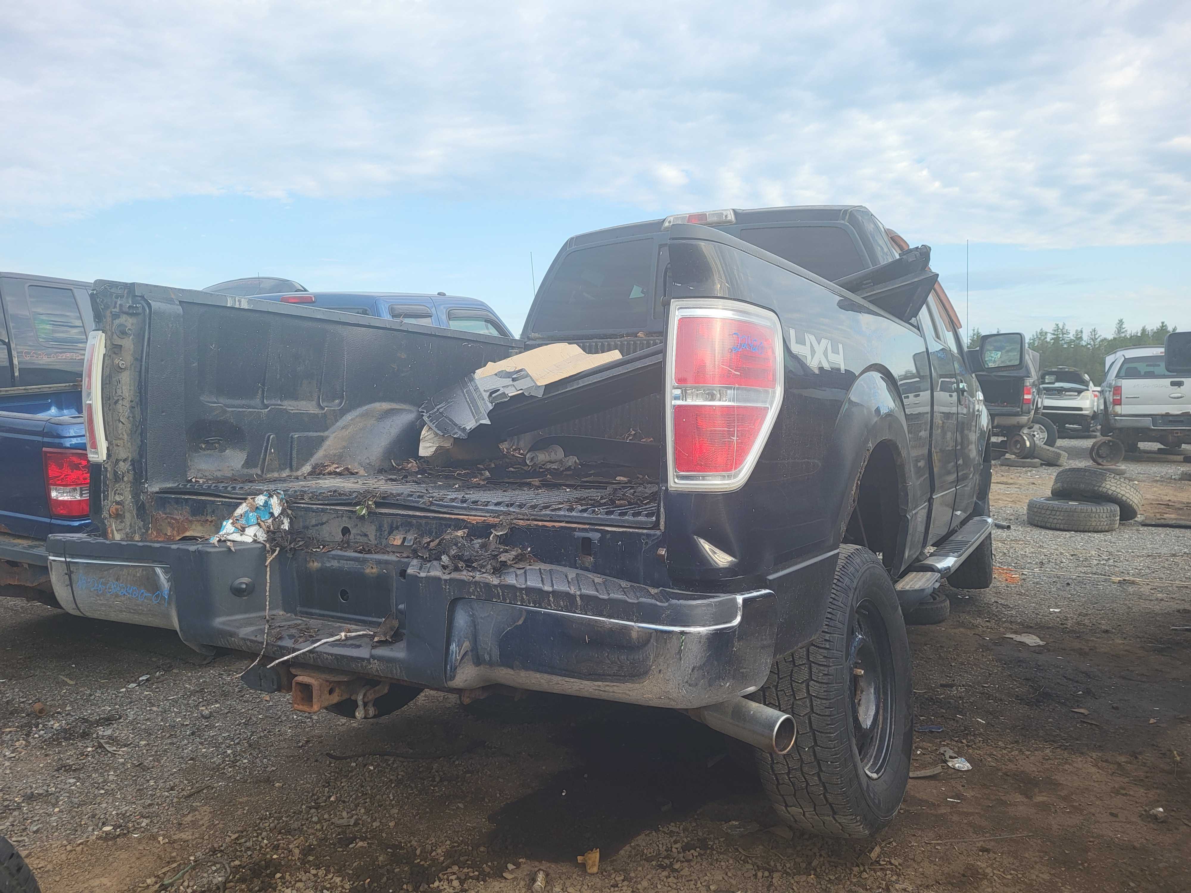 FORD F-150 2009