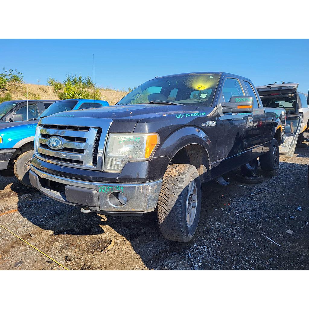 FORD F-150 2009