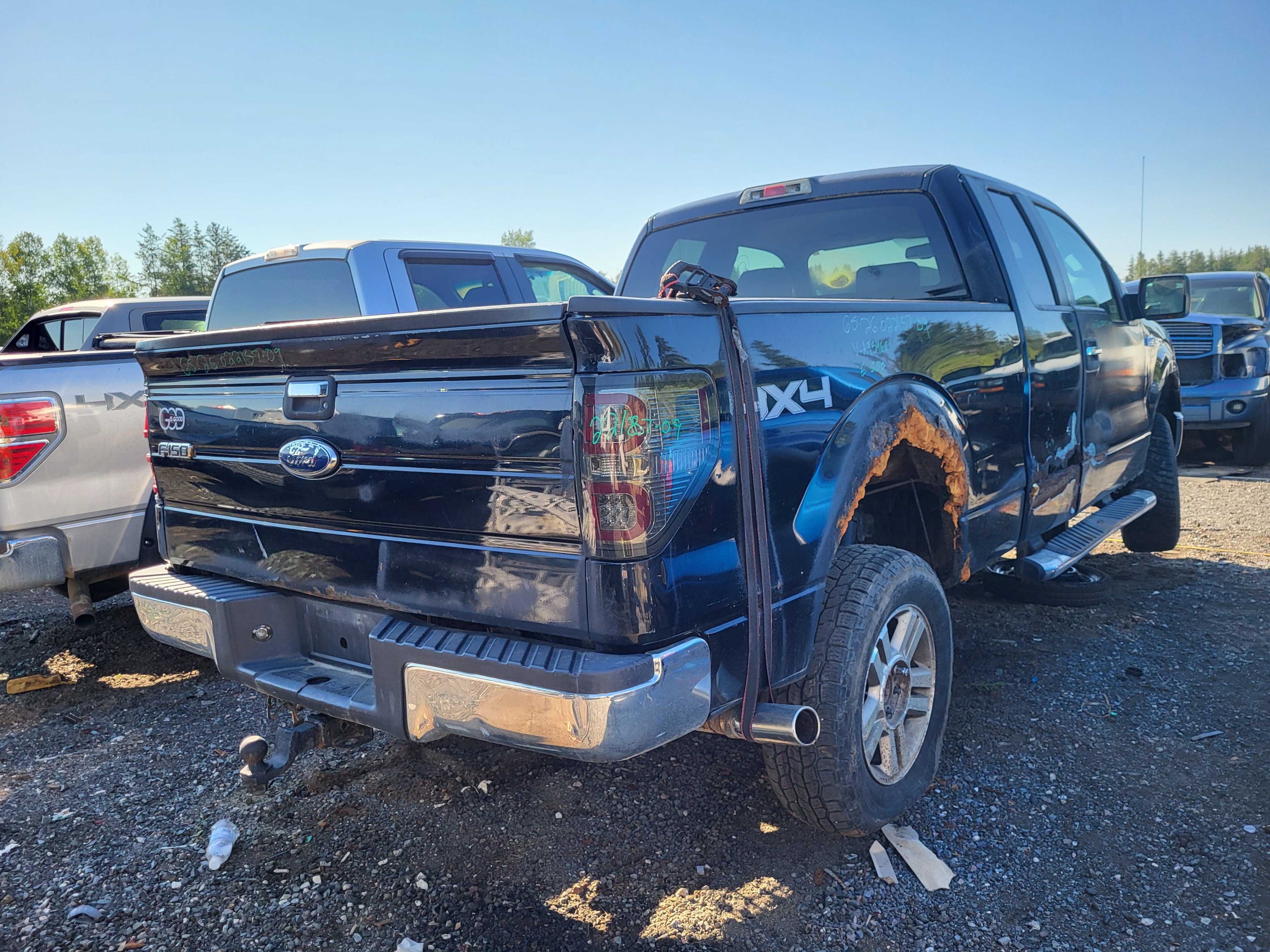 FORD F-150 2009