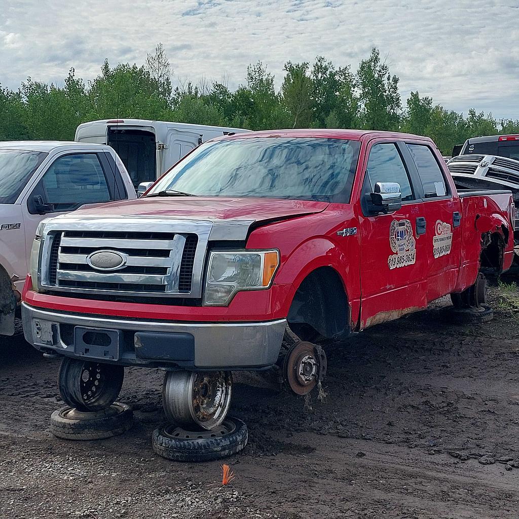 FORD F-150 2009