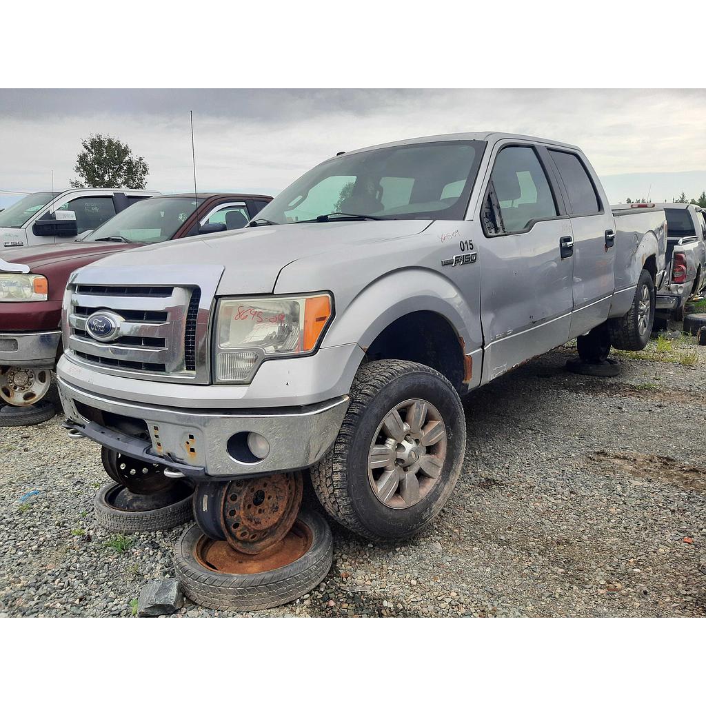 FORD F-150 2009