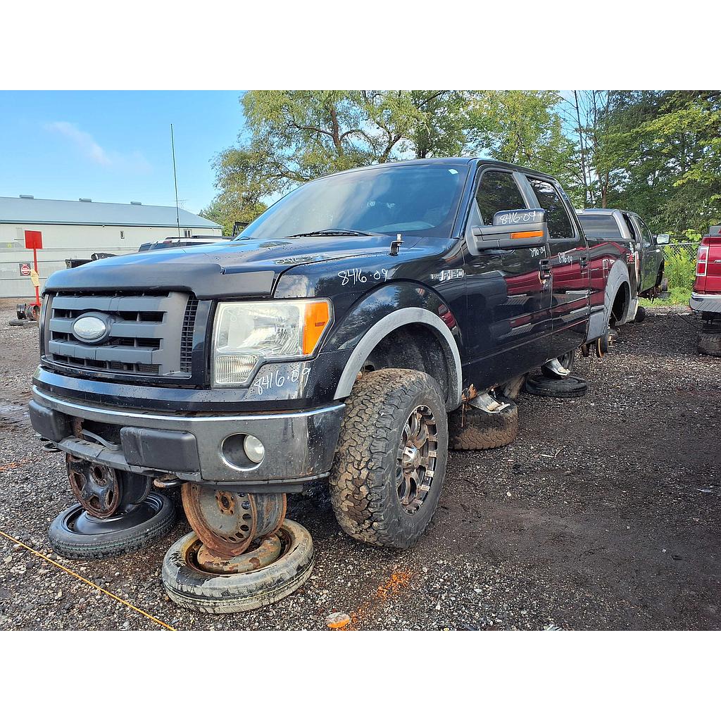 FORD F-150 2009
