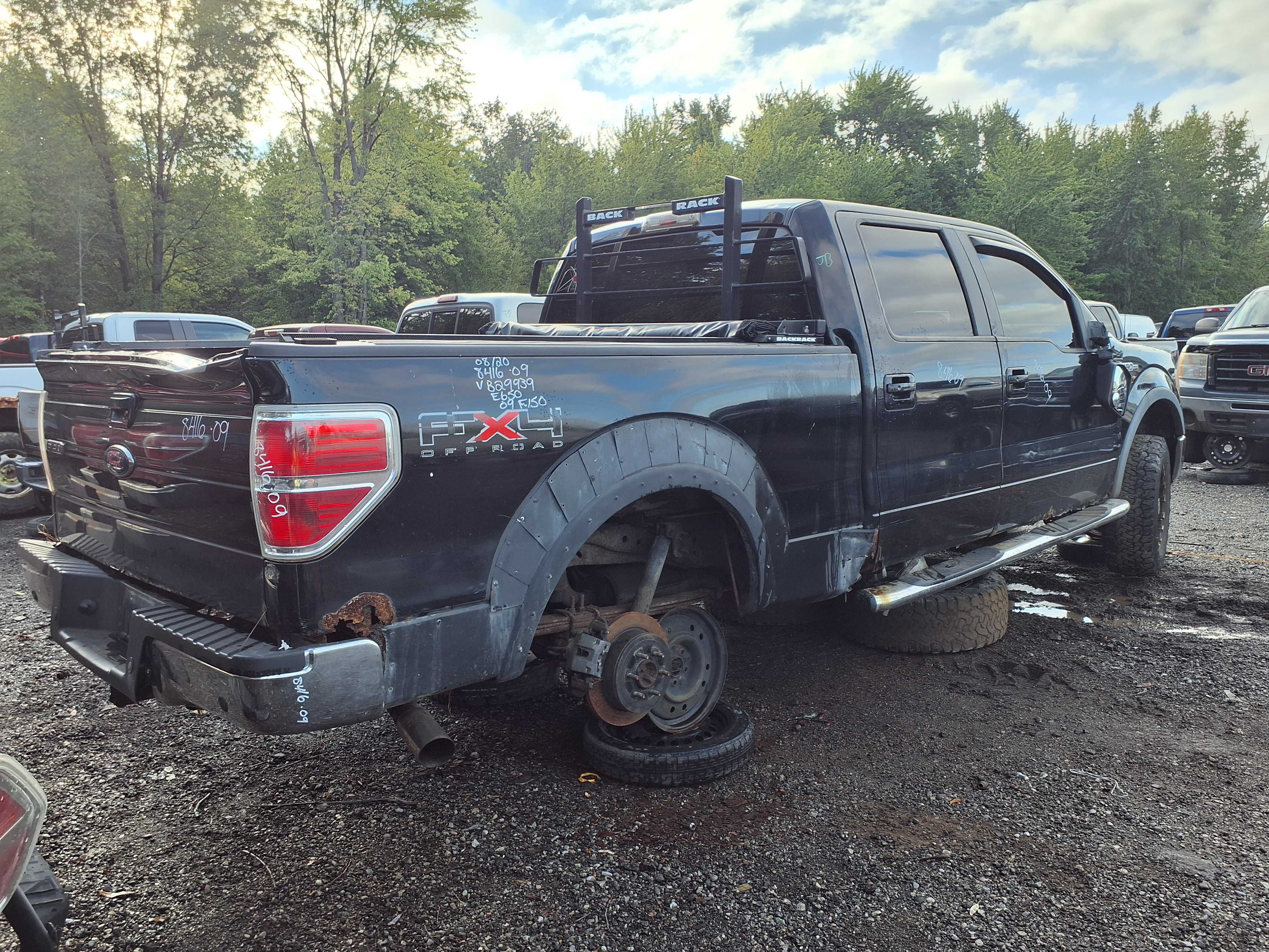 FORD F-150 2009
