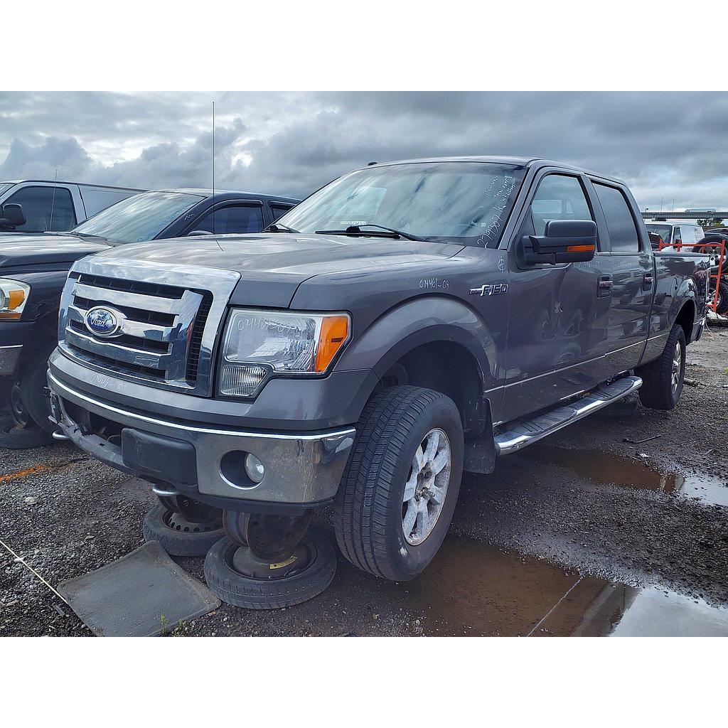 FORD F-150 2009
