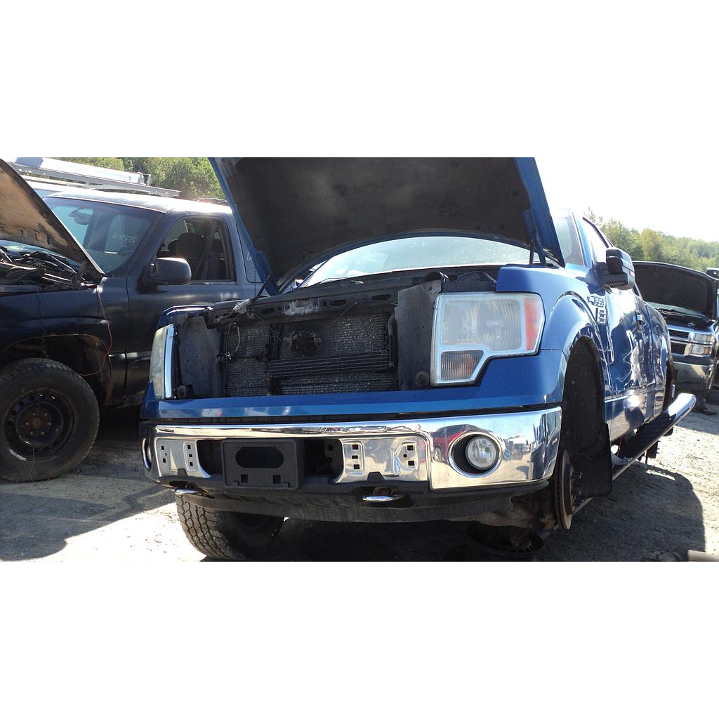 FORD F-150 2009