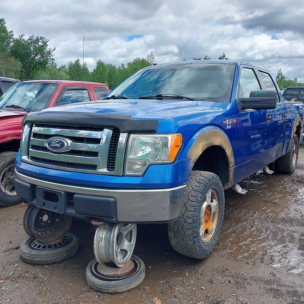 FORD F-150 2010