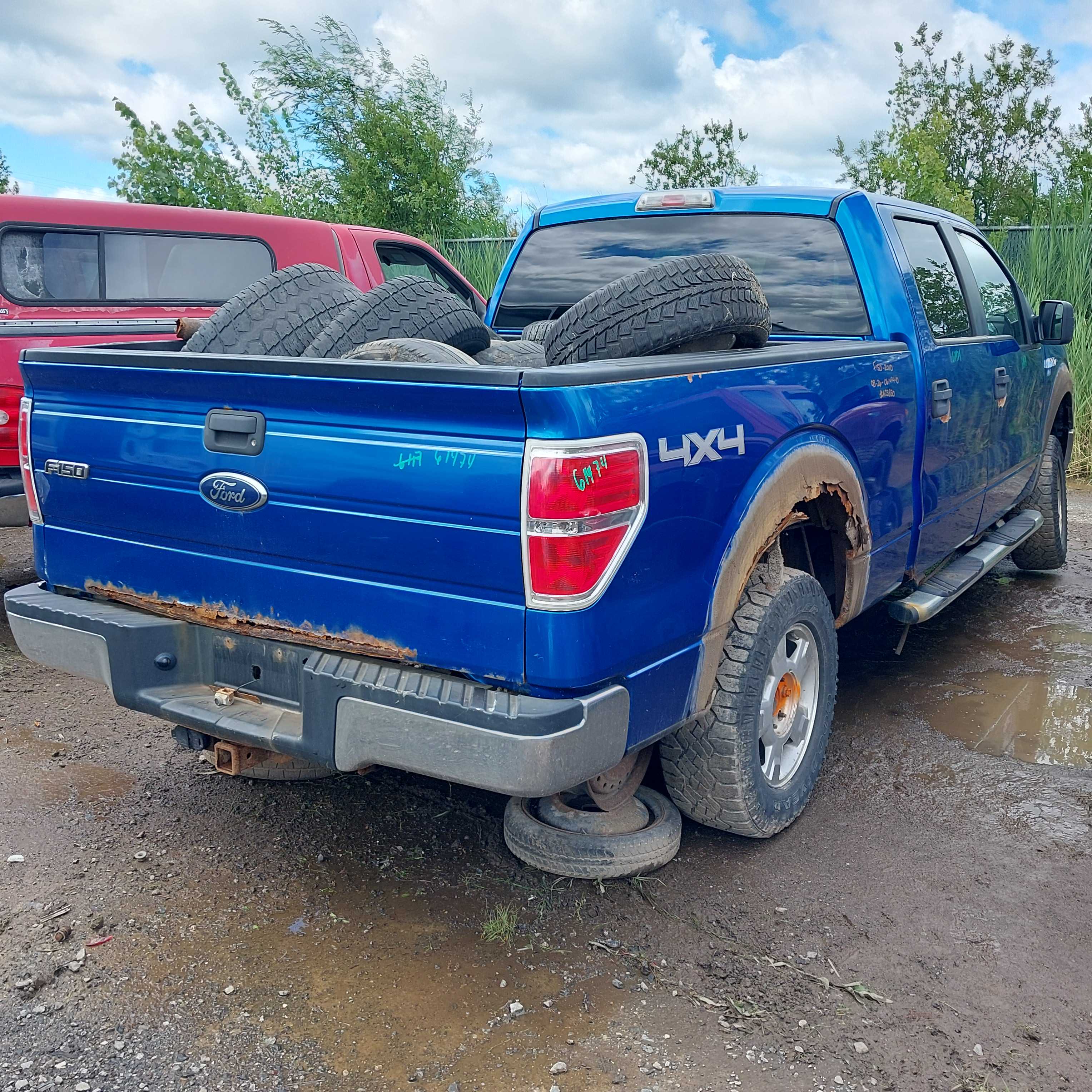 FORD F-150 2010