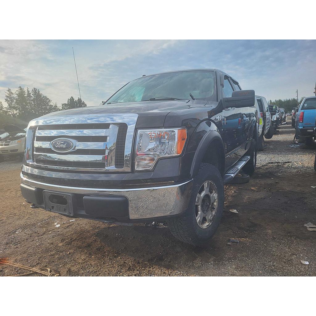 FORD F-150 2010