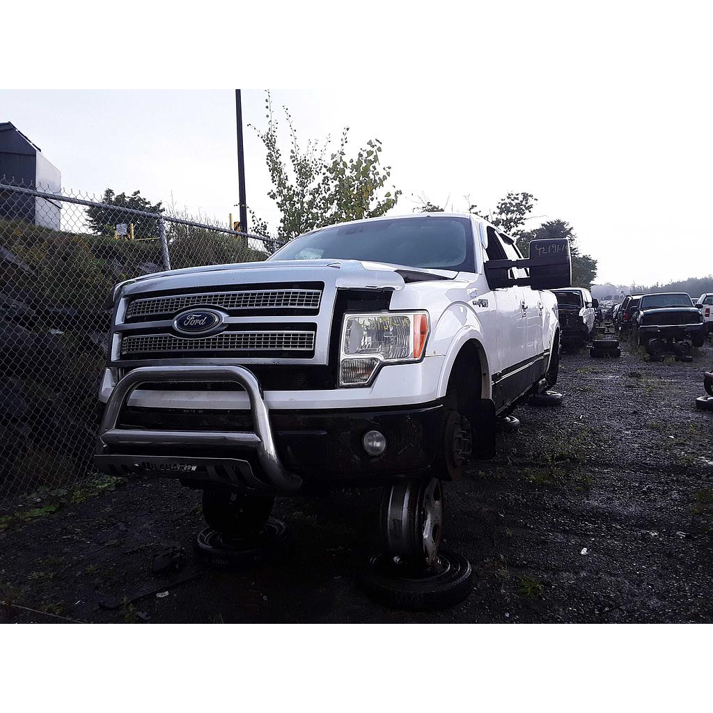 FORD F-150 2010