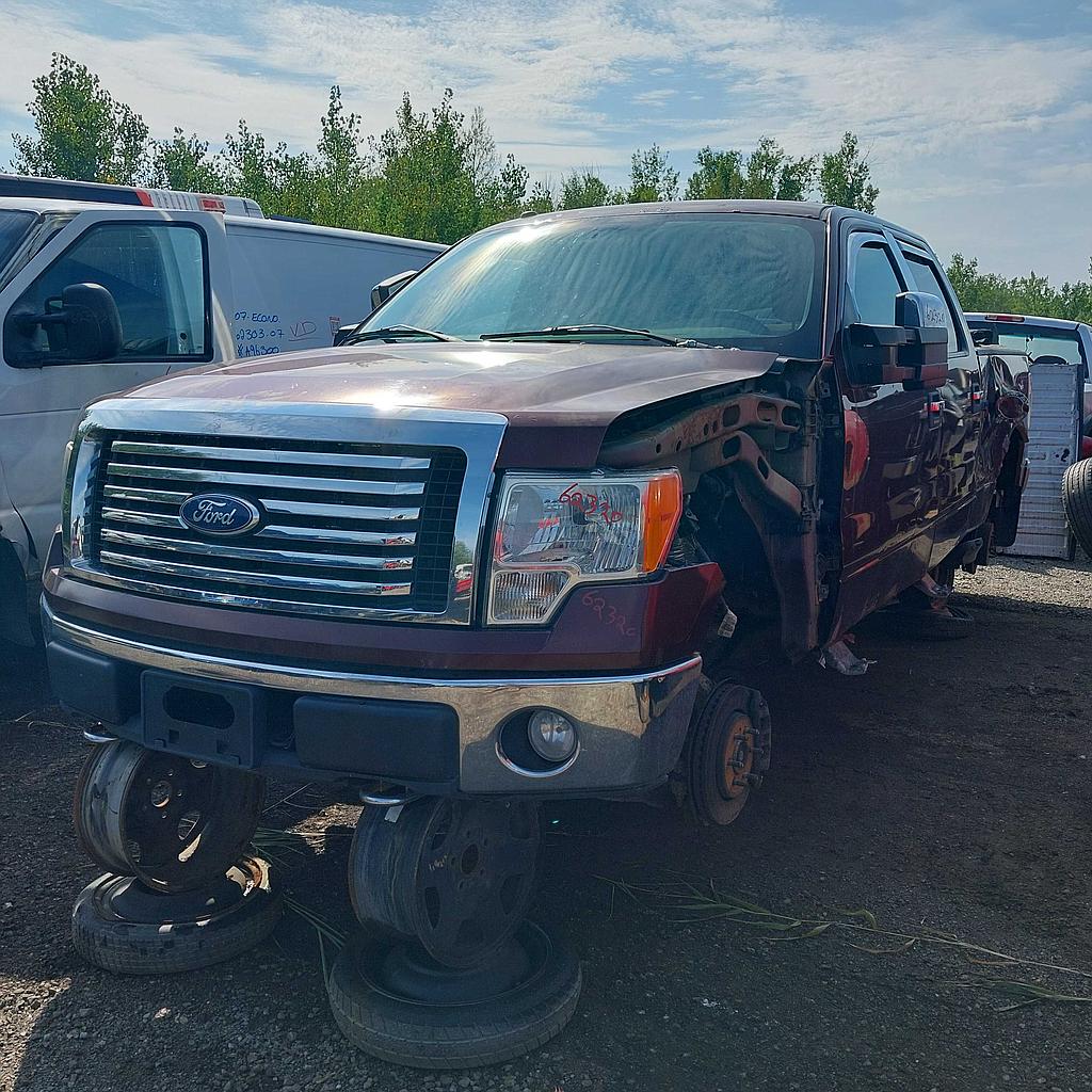 FORD F-150 2010