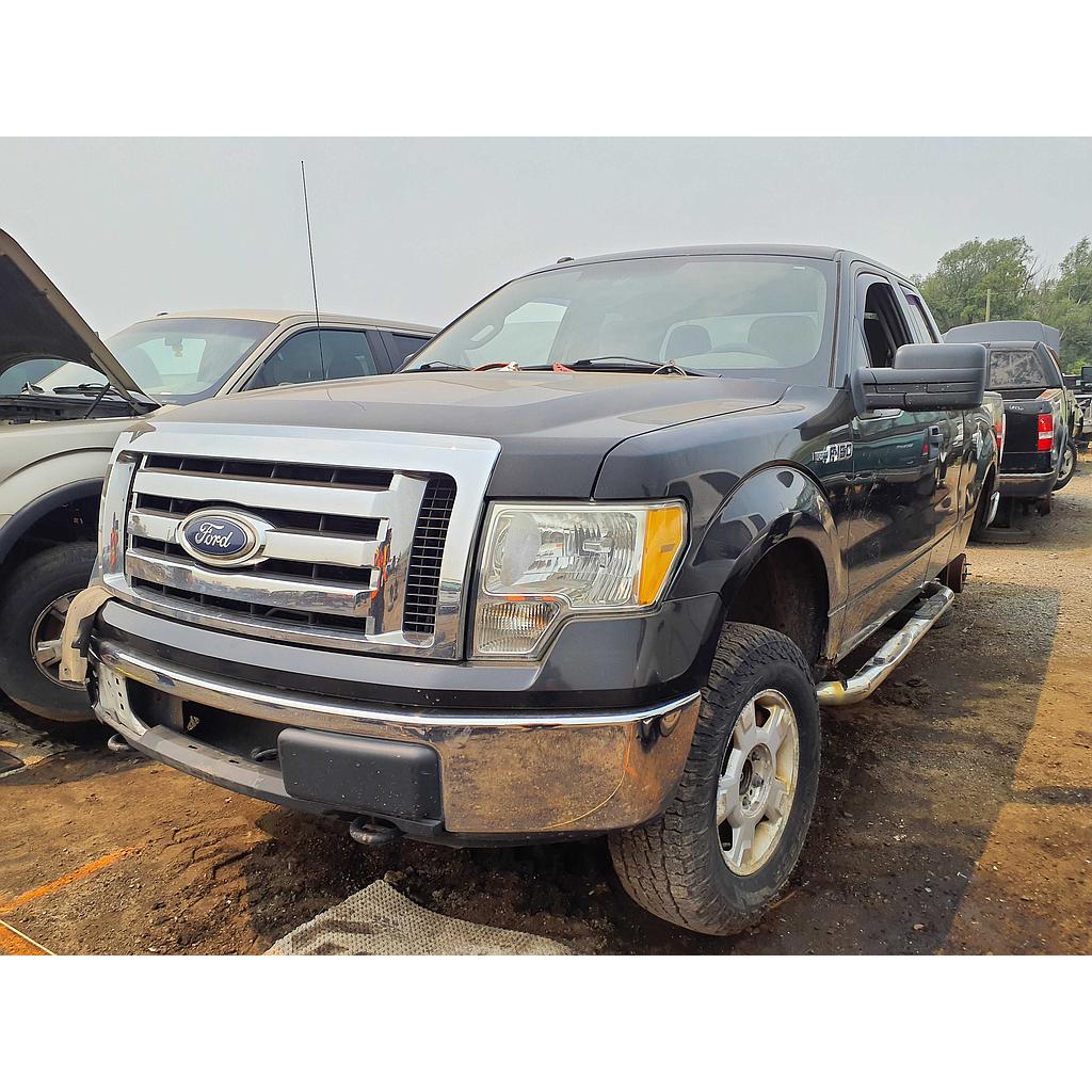FORD F-150 2010