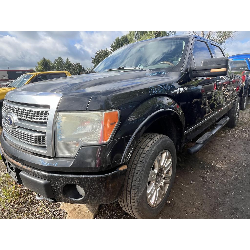 FORD F-150 2010