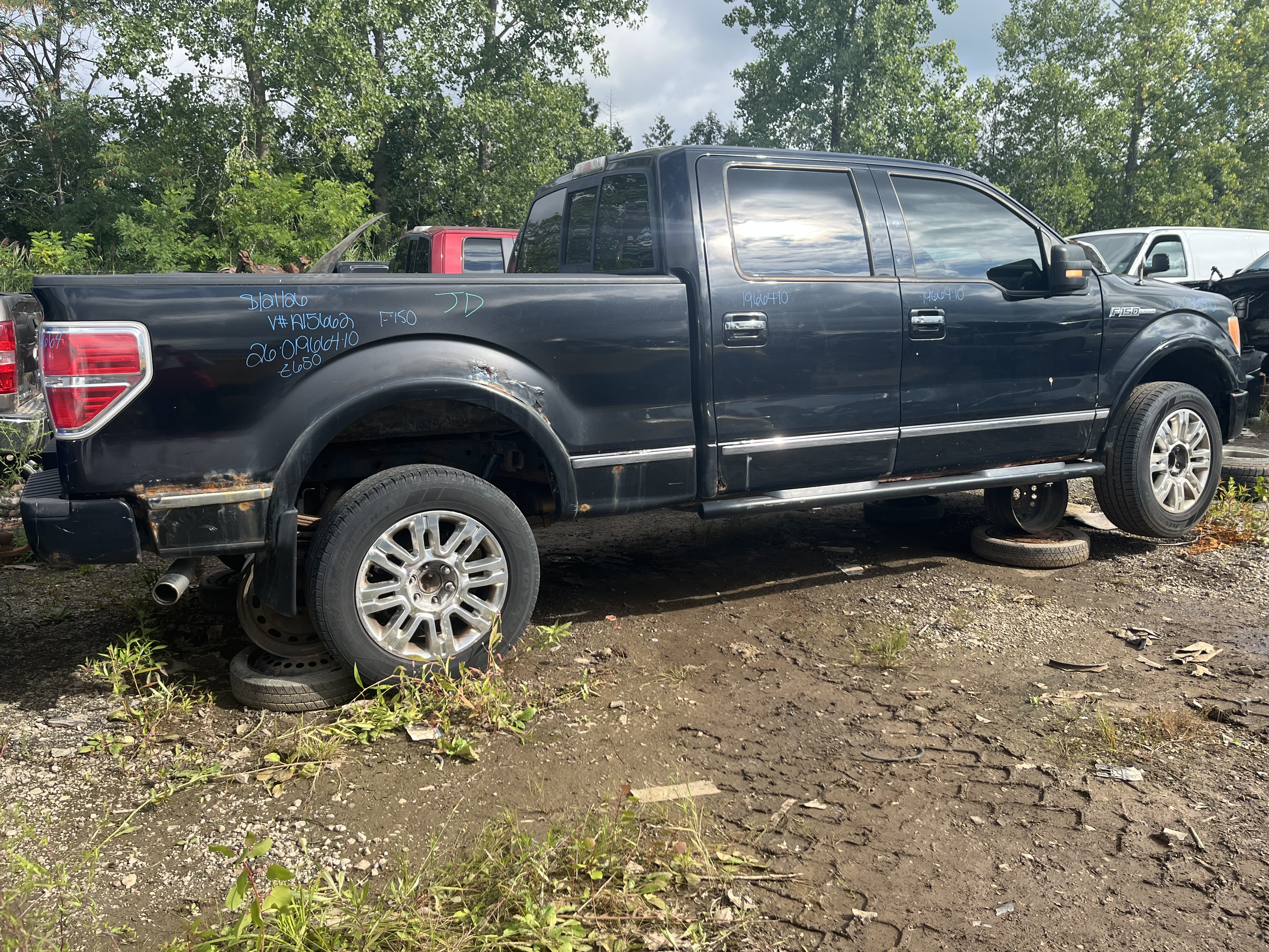 FORD F-150 2010