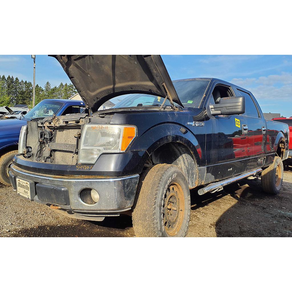 FORD F-150 2011