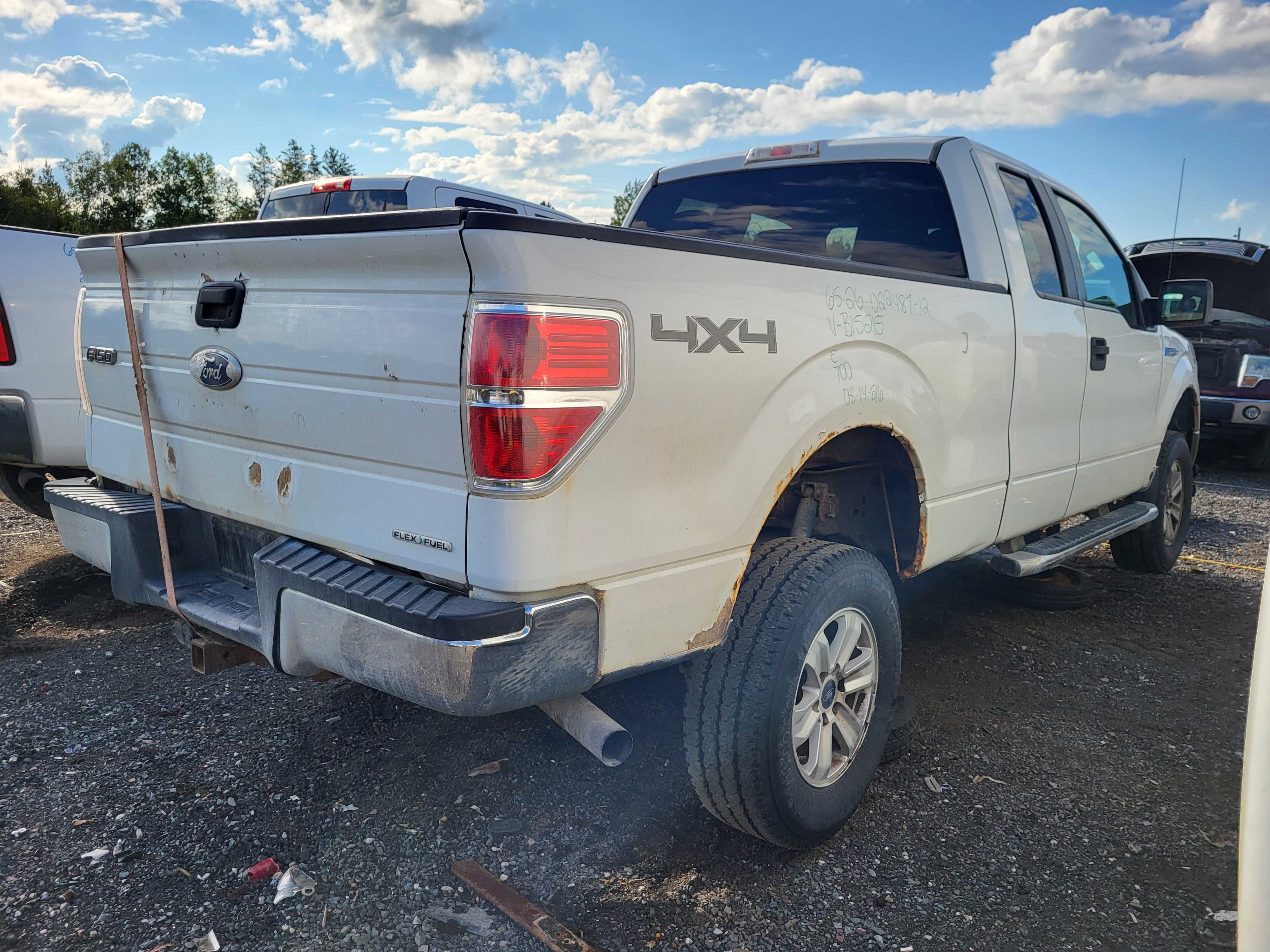 FORD F-150 2012