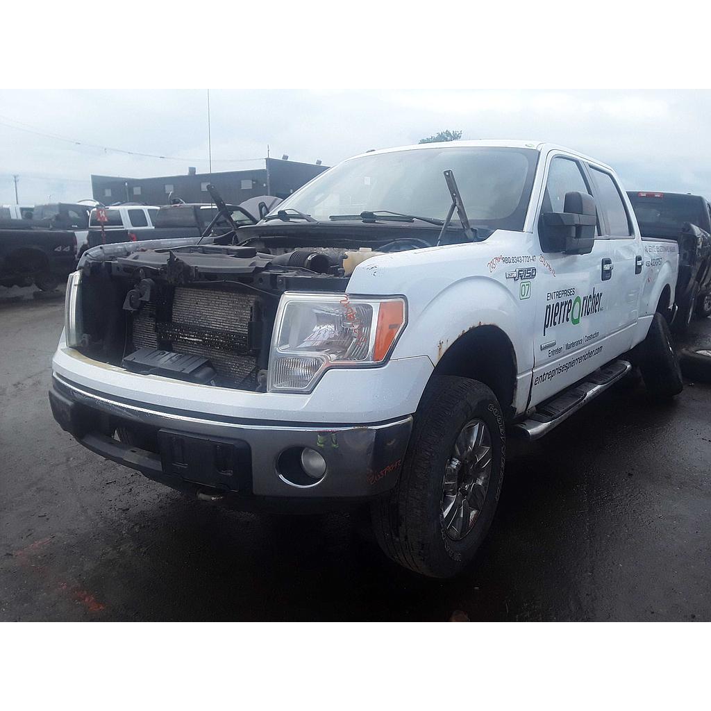 FORD F-150 2012