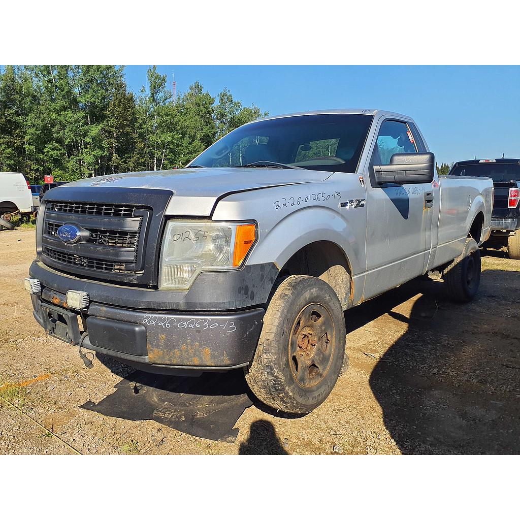 FORD F-150 2013